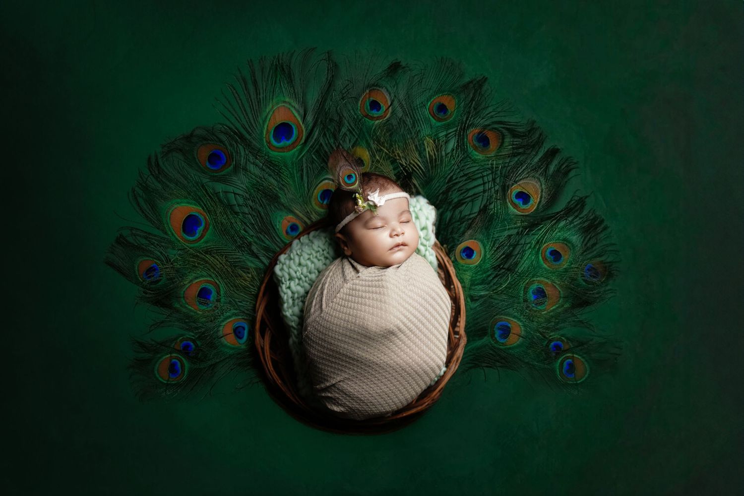 Sleeping baby photography in floral basket – Impresio Studio
