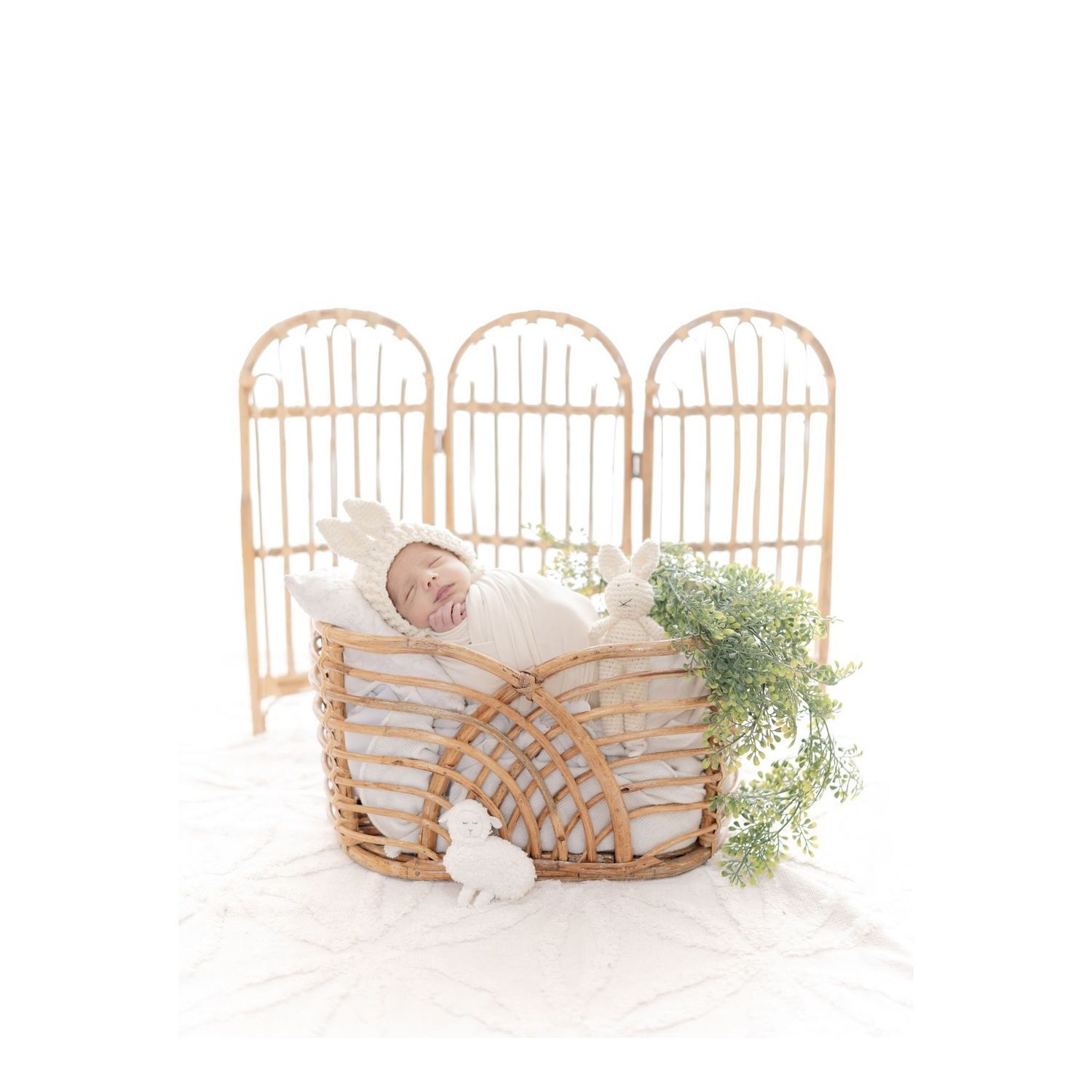 Best newborn baby shoot experience – Impresio Studio