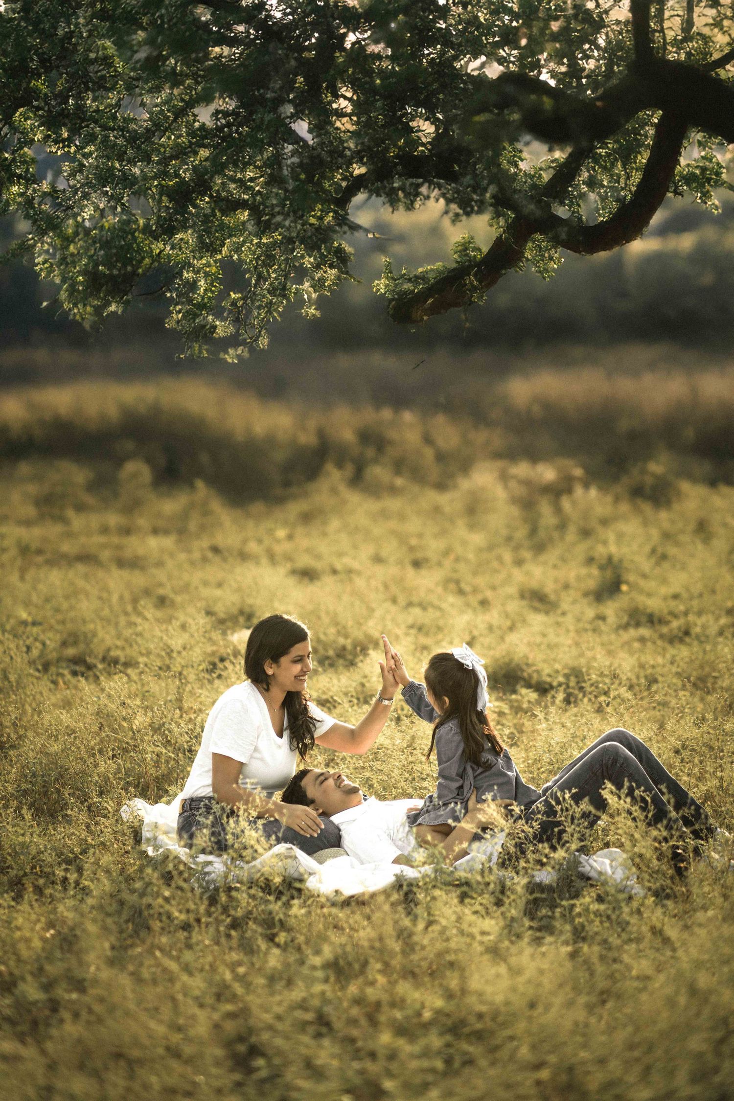 Family relaxing together on a blanket in a golden meadow under a large tree during sunset.