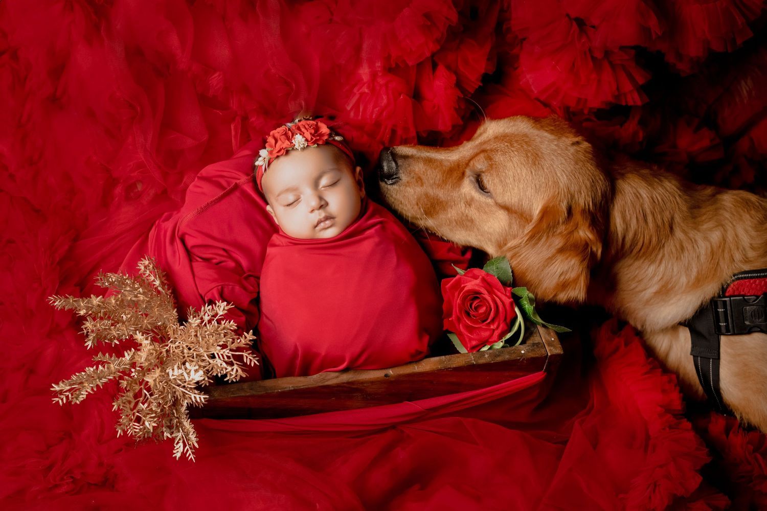 Minimal newborn photoshoot near me – Impresio Studio classic look