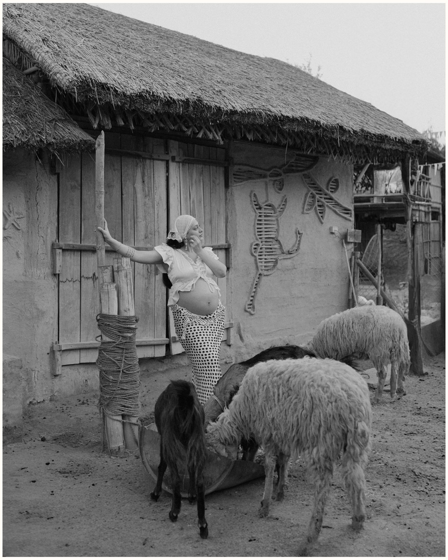 Black and white photo of a woman near a mud hut with thatched roof, goats and sheep grazing nearby in a rural village.