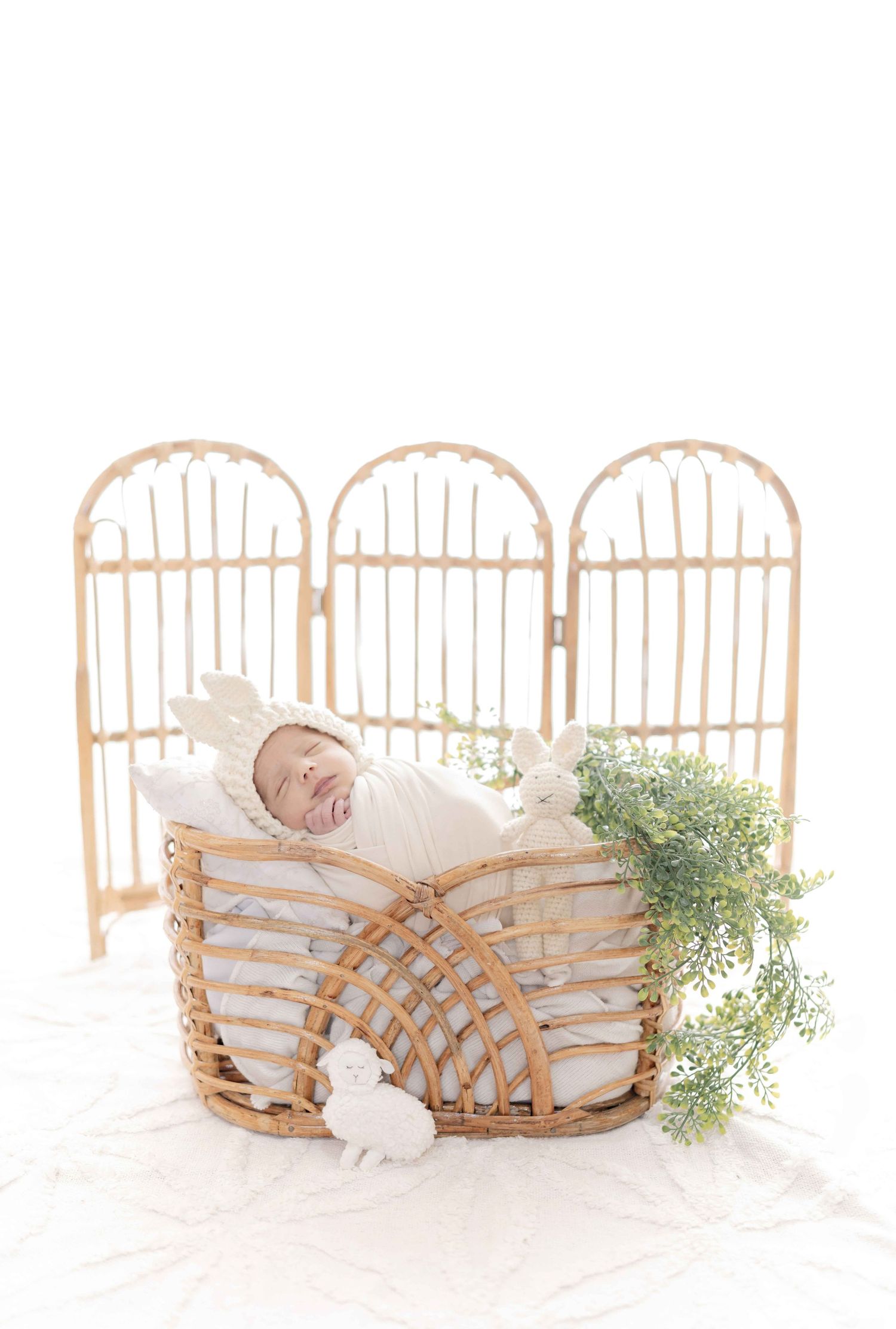 Newborn baby sleeping peacefully in a wicker basket with white wrap, soft toy, and green foliage in a bright studio.