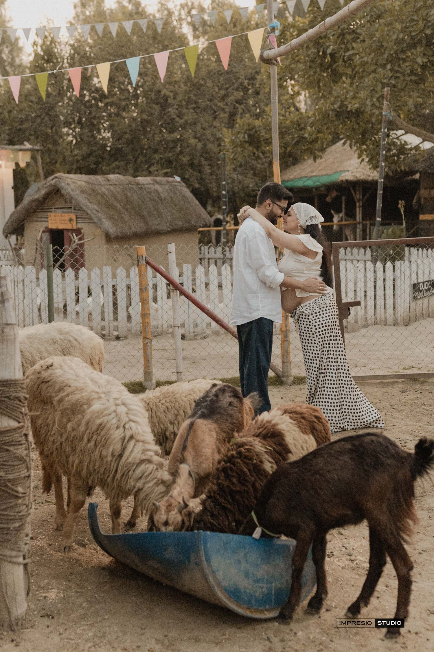 Couple embracing near a feeding trough with sheep and goats at a rustic farm with colorful bunting flags.