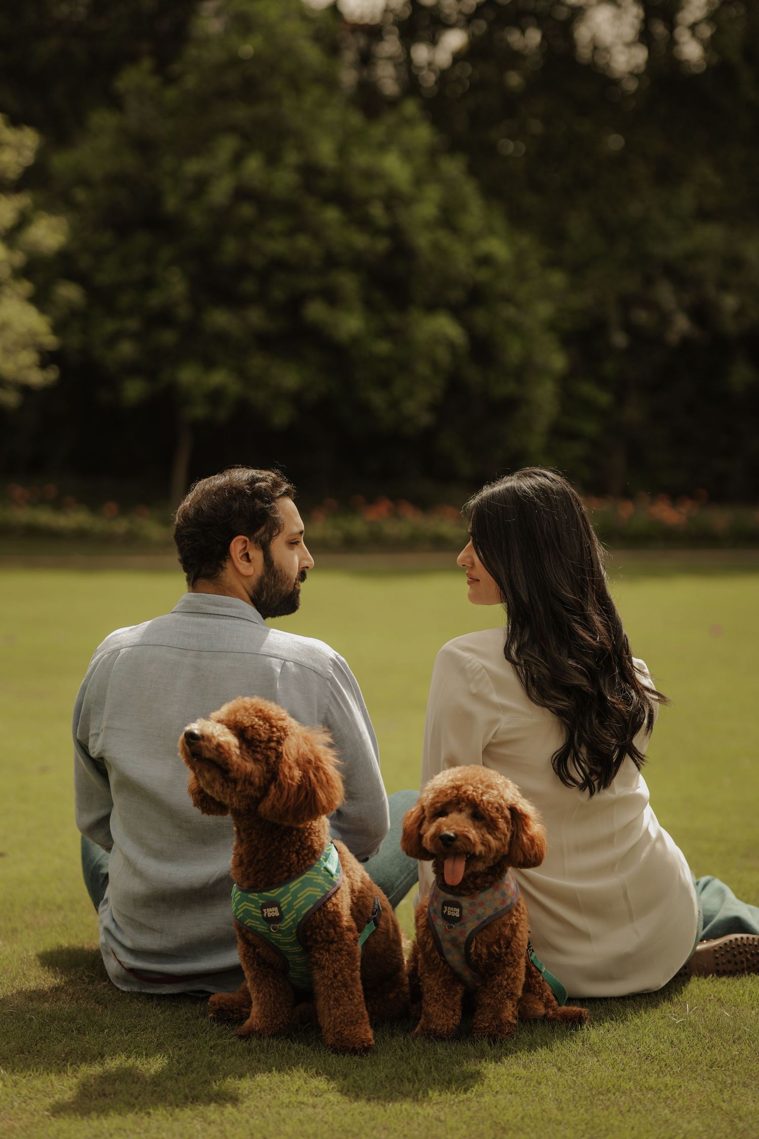 A couple sits on grass with two brown poodles, facing each other in a lush green park setting.