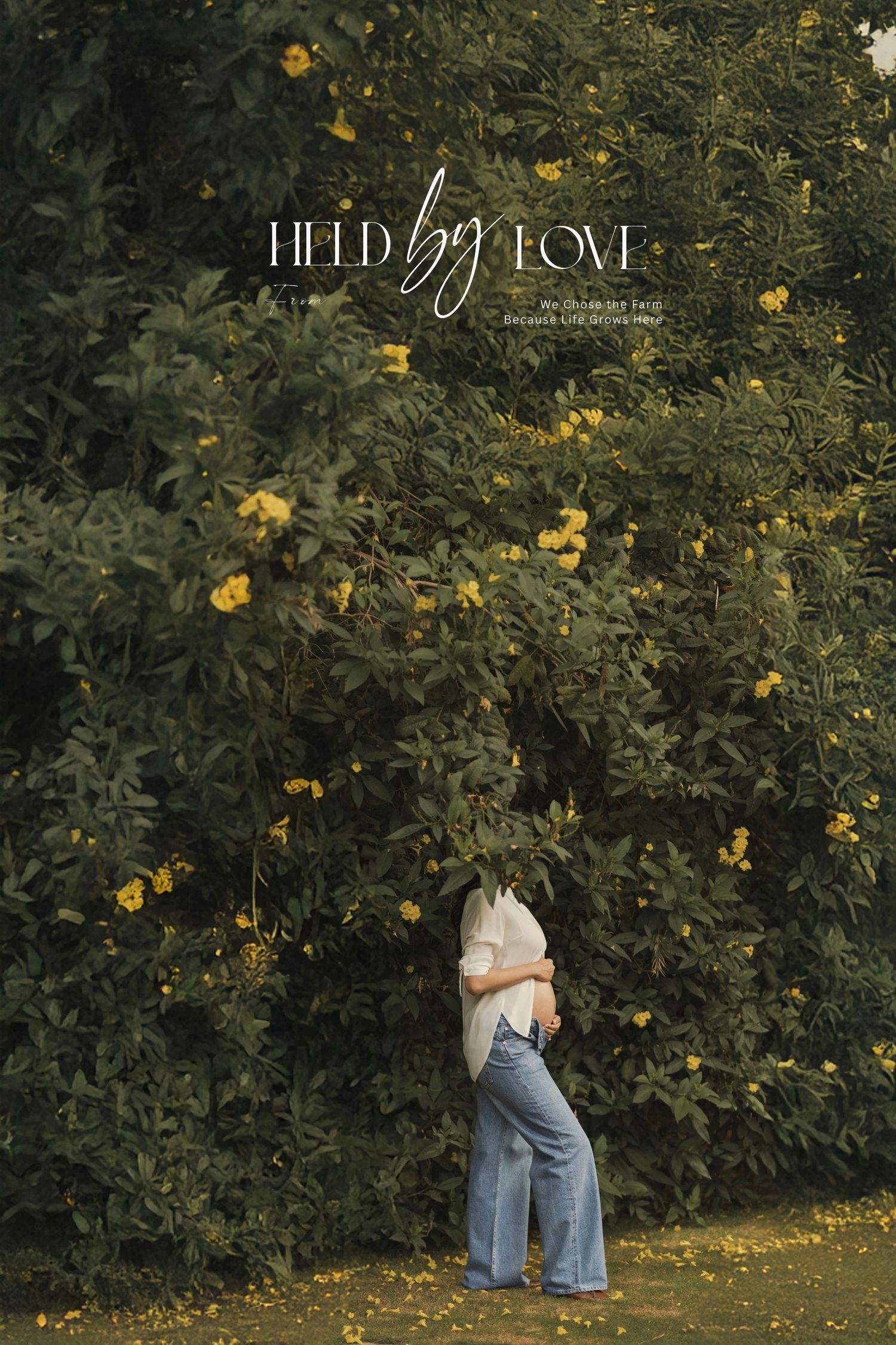 Person standing among lush green bushes with yellow flowers, partially hidden by foliage, with text overlay 'Held by Love'.