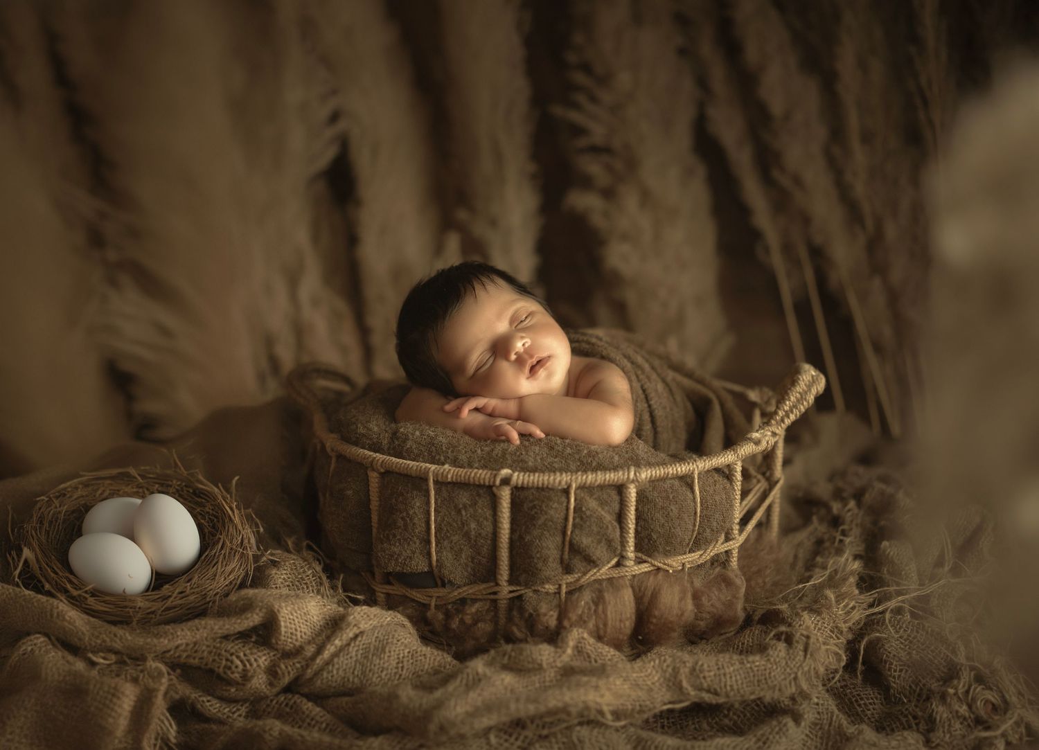 Themed new born baby photoshoot – floral basket concept by Impresio Studio