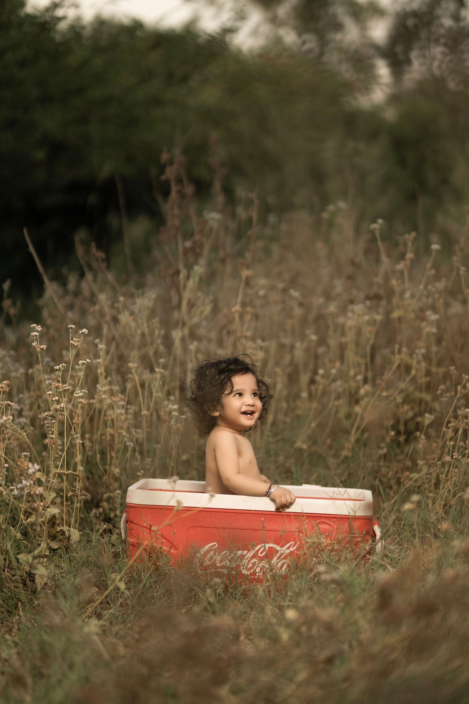Smiling toddler sitting in a vintage red Coca-Cola cooler surrounded by wild grass and flowers in a field.