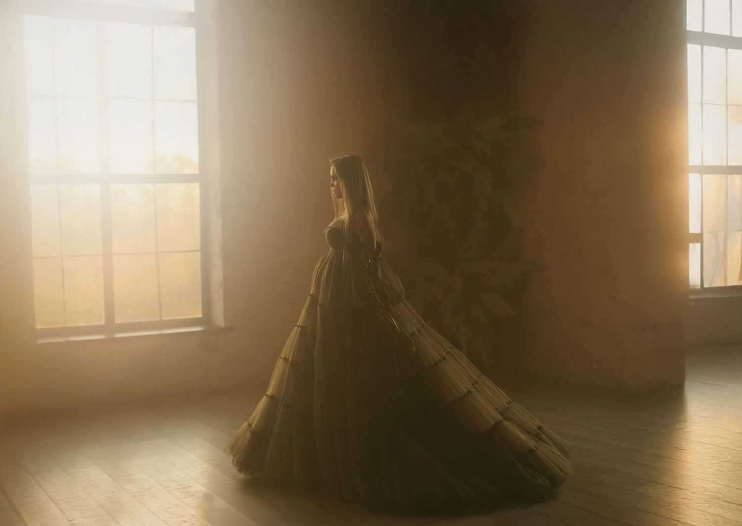 Dramatic silhouette of ballgown dress in sepia-toned interior with window light.