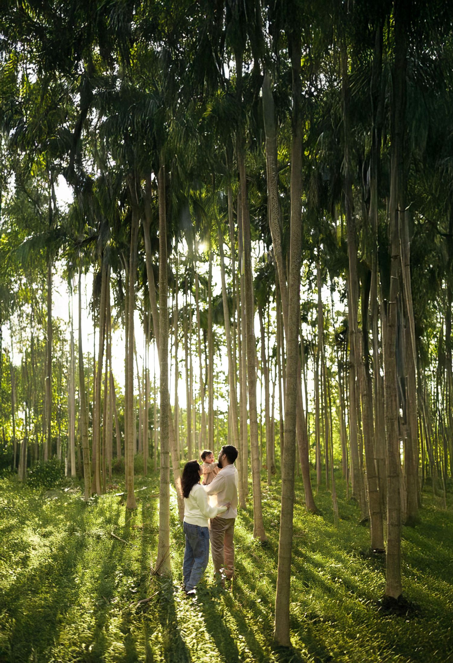 Couple embracing in a sunlit bamboo forest with tall green trees casting long shadows on lush grass.