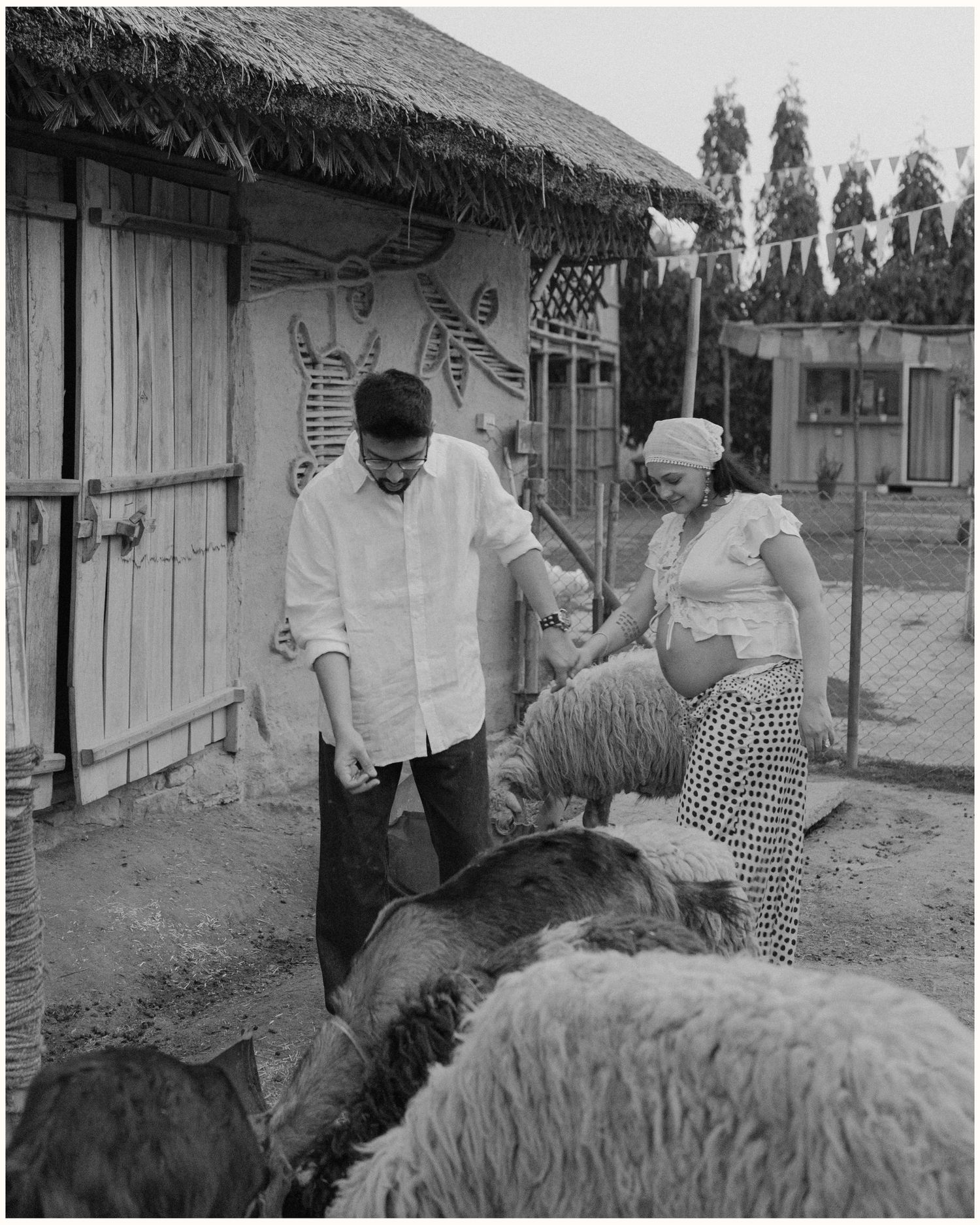 A man and woman feeding sheep outside a rustic thatched-roof building in a black and white vintage photo.