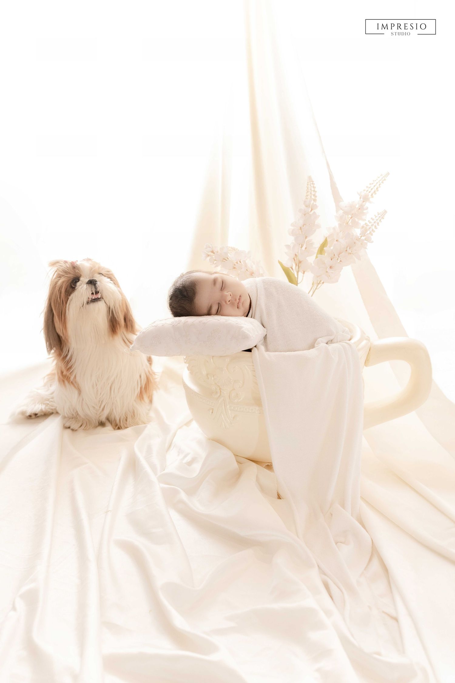 A sleeping newborn baby rests in a decorative teacup prop beside a fluffy Shih Tzu dog on white satin fabric.