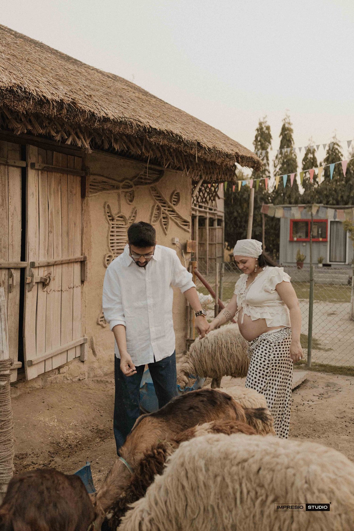 Pregnant couple feeds sheep at rustic farm with thatched roof building in background.