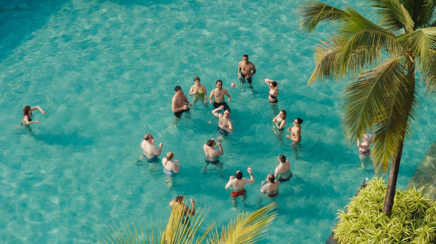 Aerial view of a group of people standing in a turquoise swimming pool surrounded by palm trees.