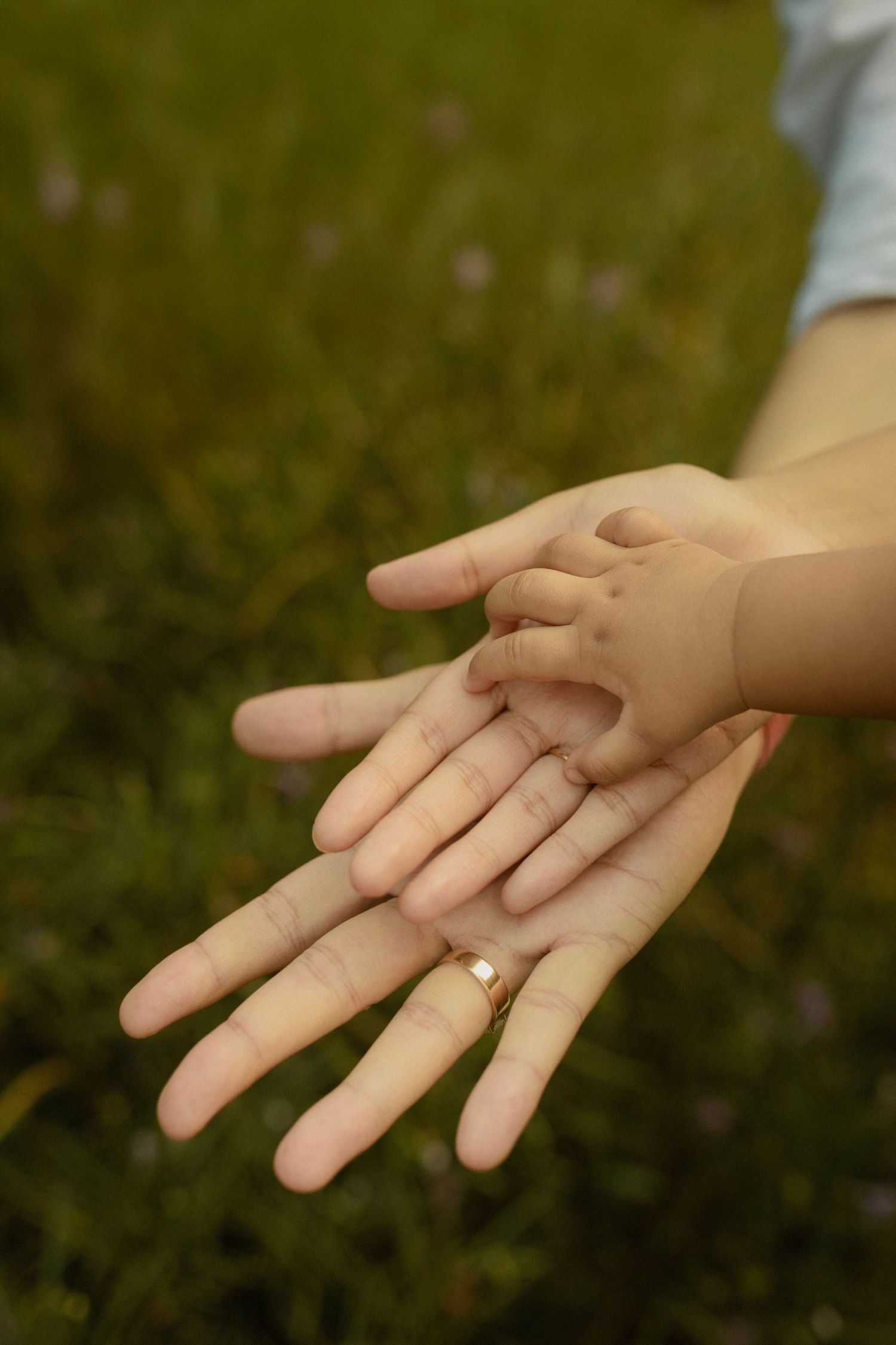 A sequence of hands reaching out across a grassy background in soft natural lighting.