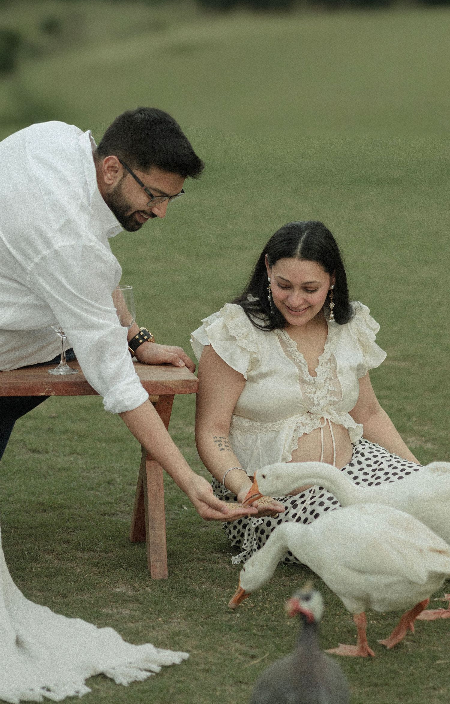 Pregnant woman feeding white geese outdoors with partner on rustic bench during maternity photoshoot.
