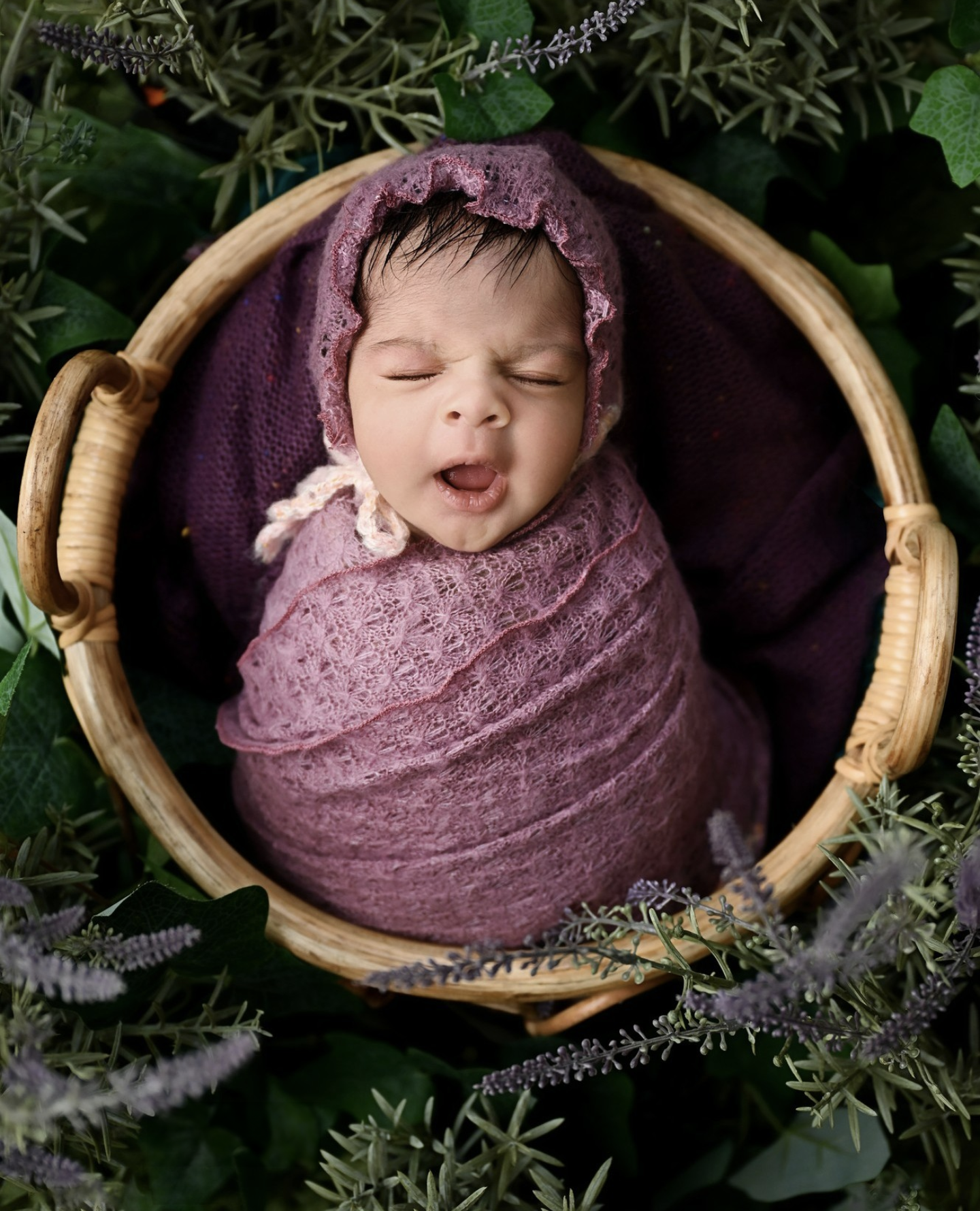 Artistic newborn photography series showing baby swaddled in purple wrap in wooden bowl with lavender accents.