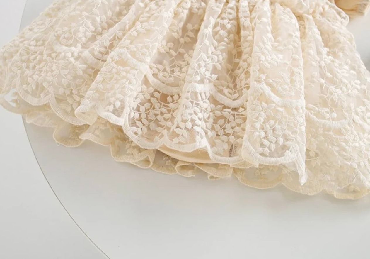 Close-up of delicate cream-colored lace trim with ruffled edges and intricate floral patterns.
