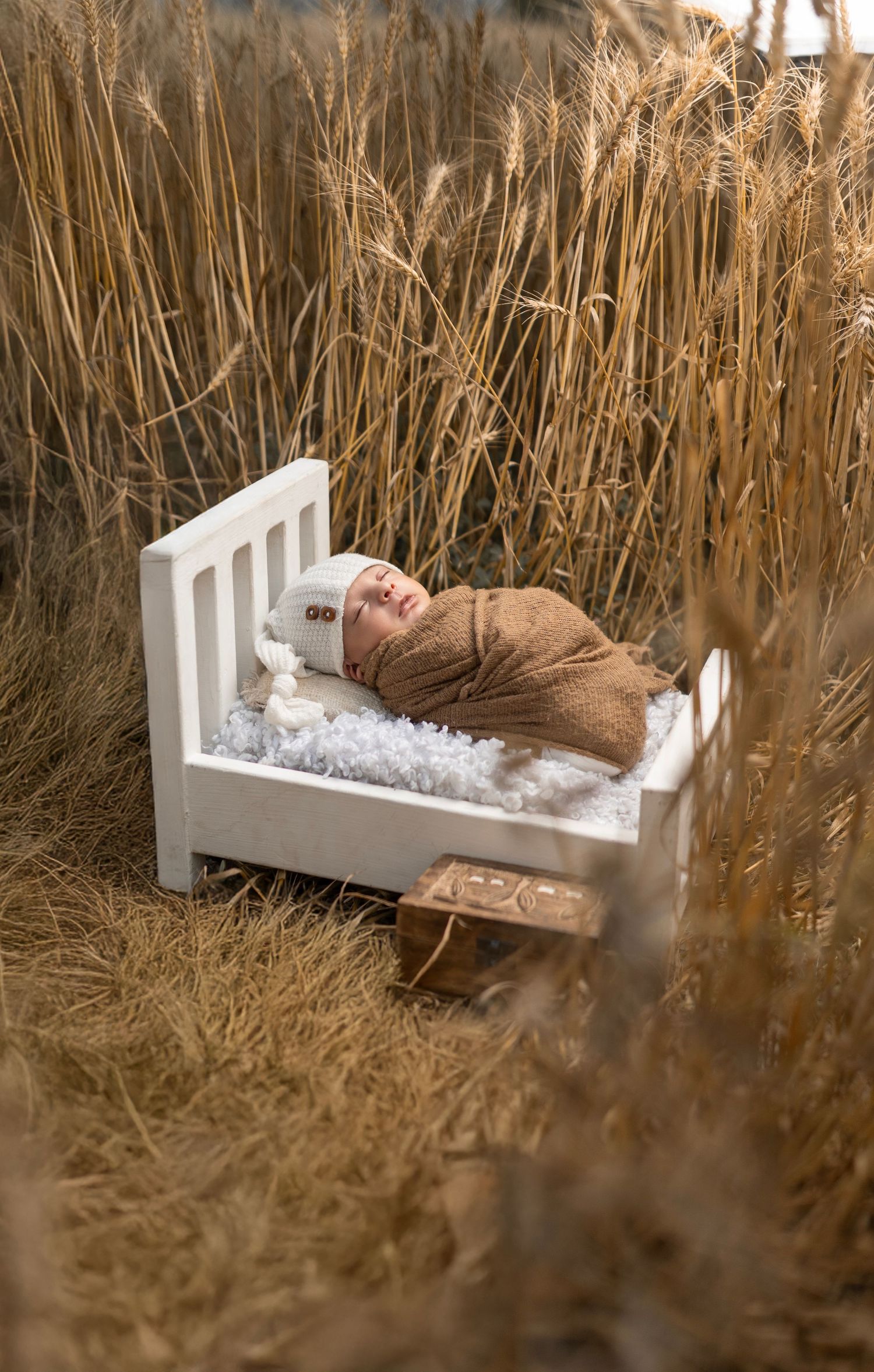 Premium newborn baby shoot package near me – Impresio Studio