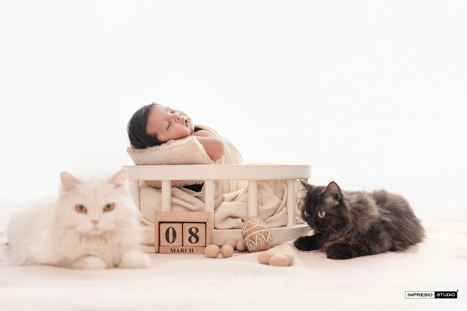 Newborn baby sleeping in wooden crate with white and black fluffy cats beside date blocks reading March 08.