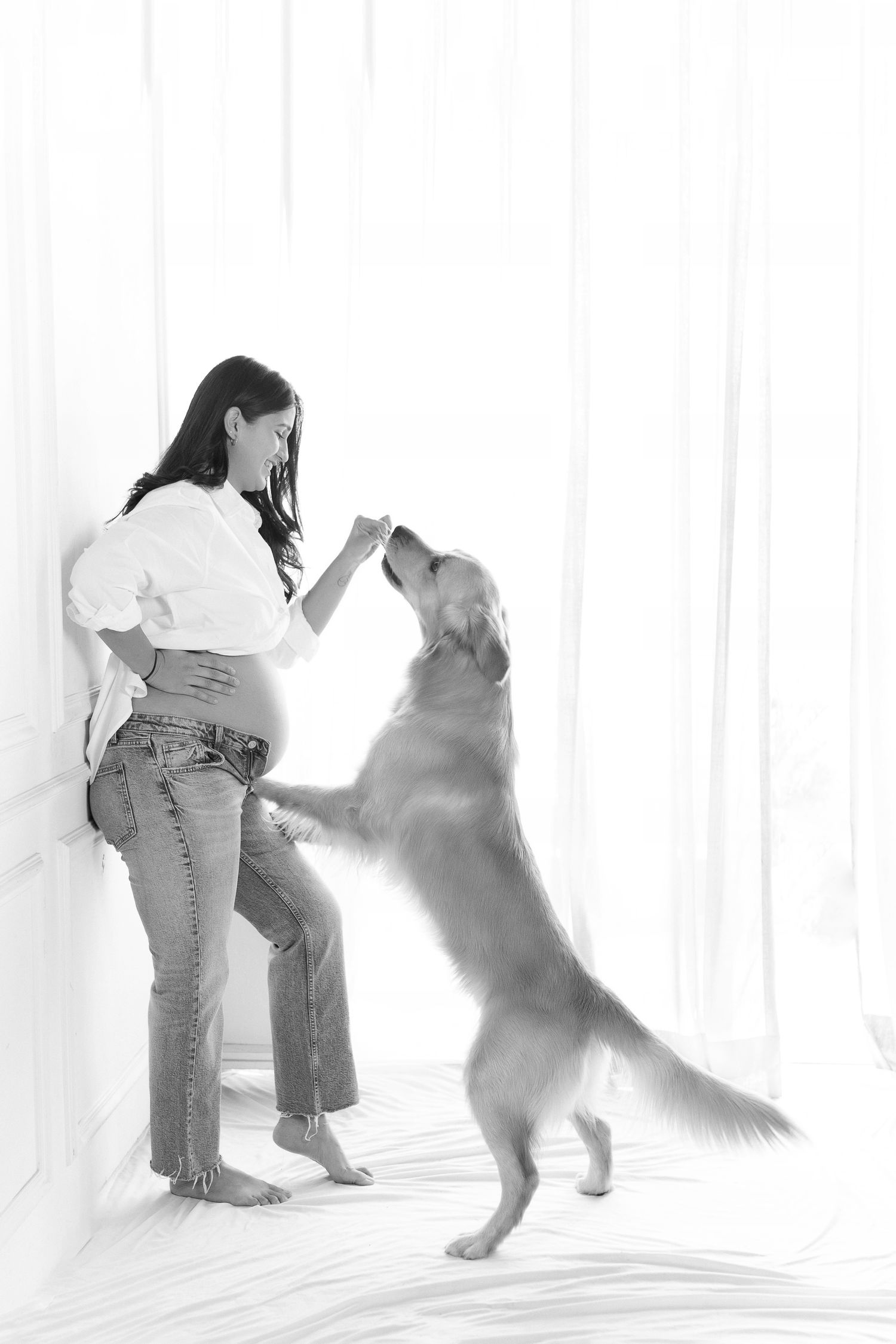 Black and white photo of a pregnant woman in jeans feeding her golden retriever dog standing on hind legs indoors.