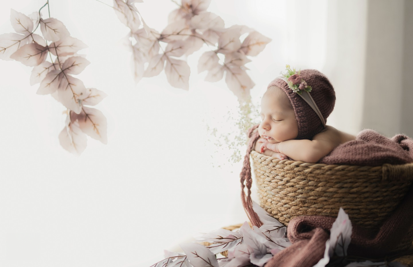 Creative new born photoshoot with floral concept – Impresio Studio