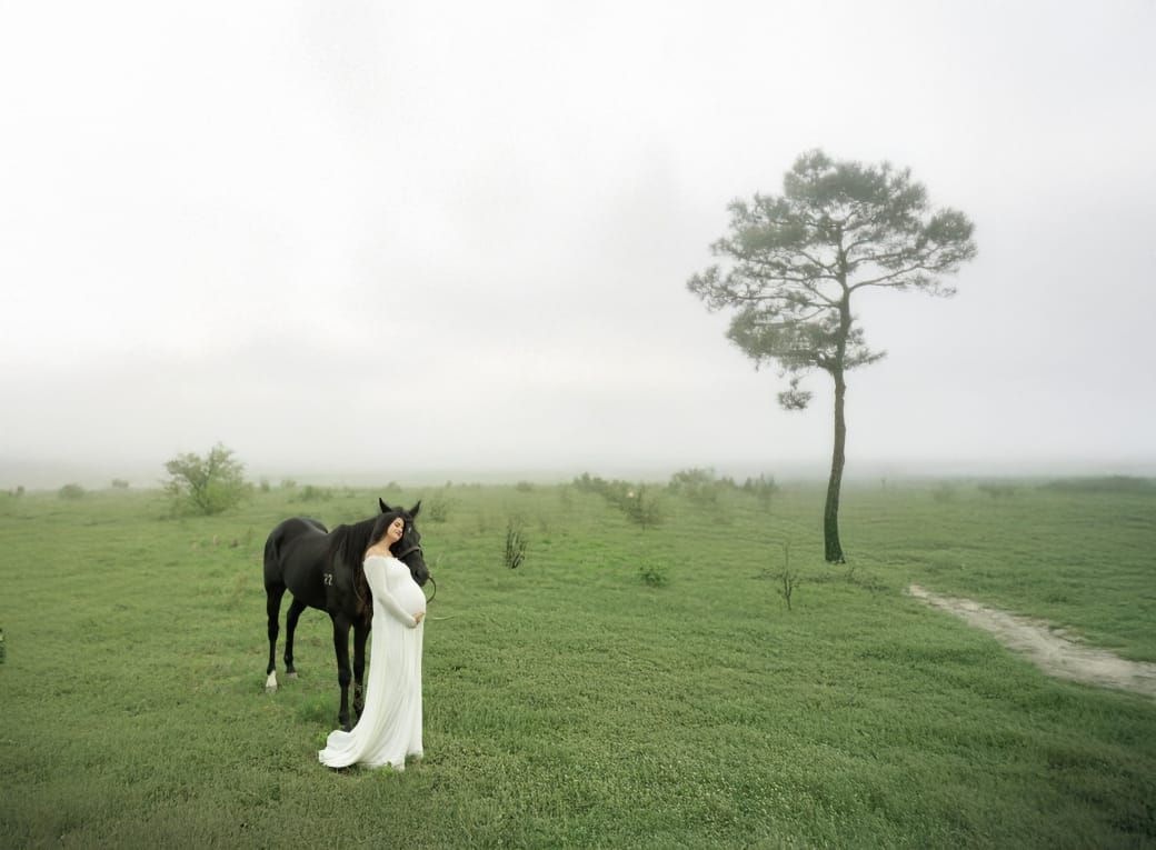 Ethereal image of a bridal figure with a majestic black horse in a misty green field.