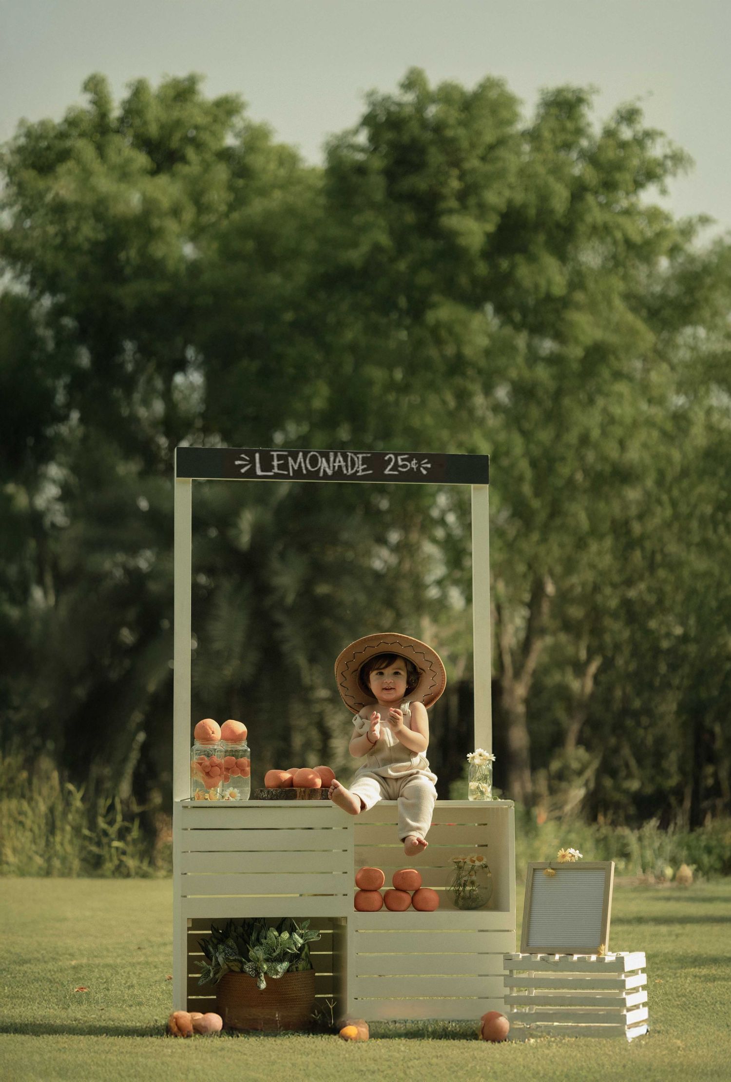 A toddler in a straw hat sits at a rustic lemonade stand surrounded by fruit in a green outdoor setting.