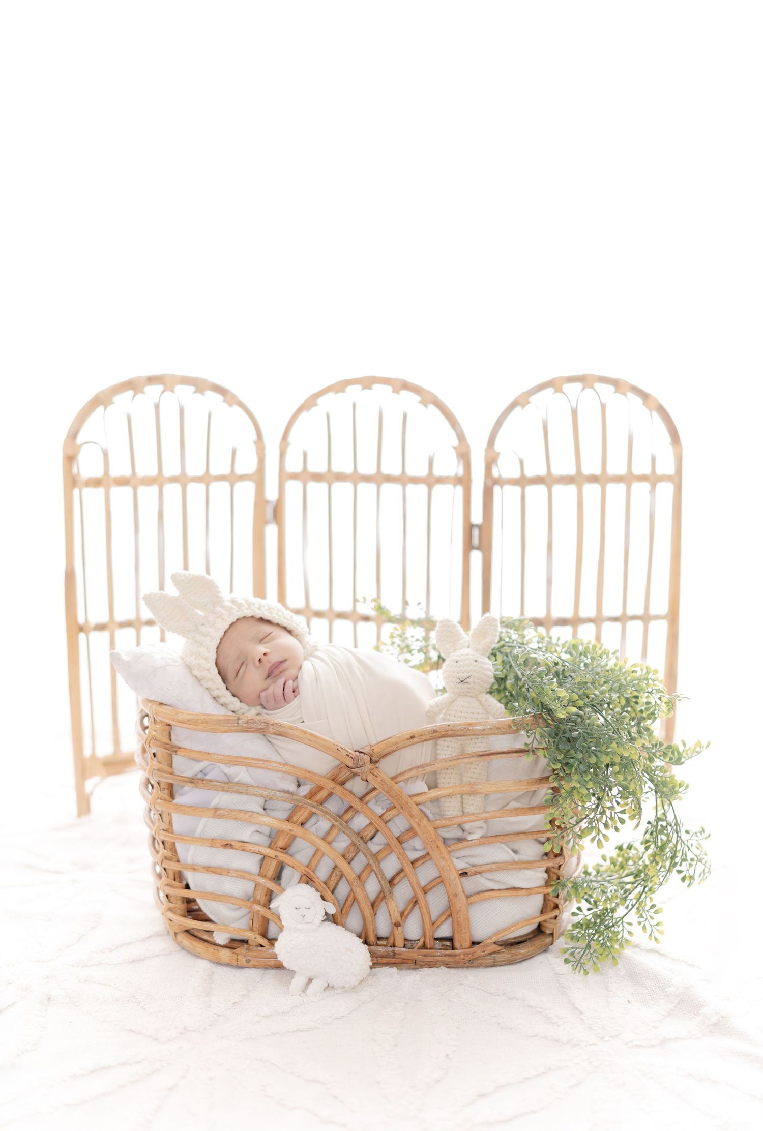 Best newborn baby shoot with pastel backdrop – Impresio Studio