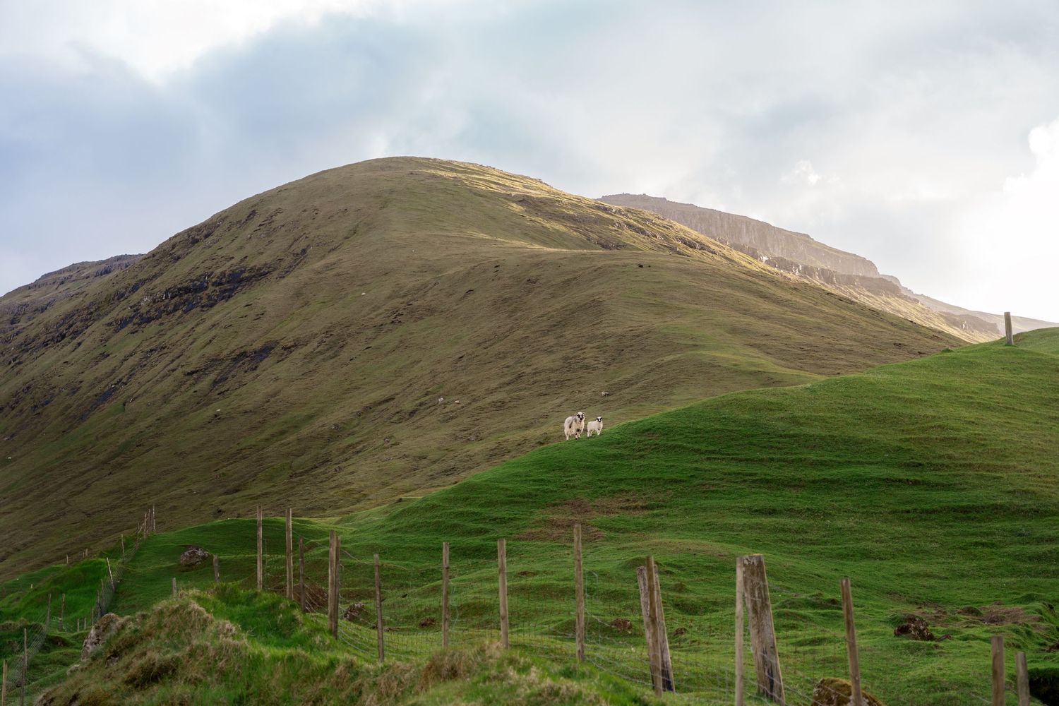 Lush green hillside with a fence in the foreground and a large grassy mountain peak under a cloudy sky.