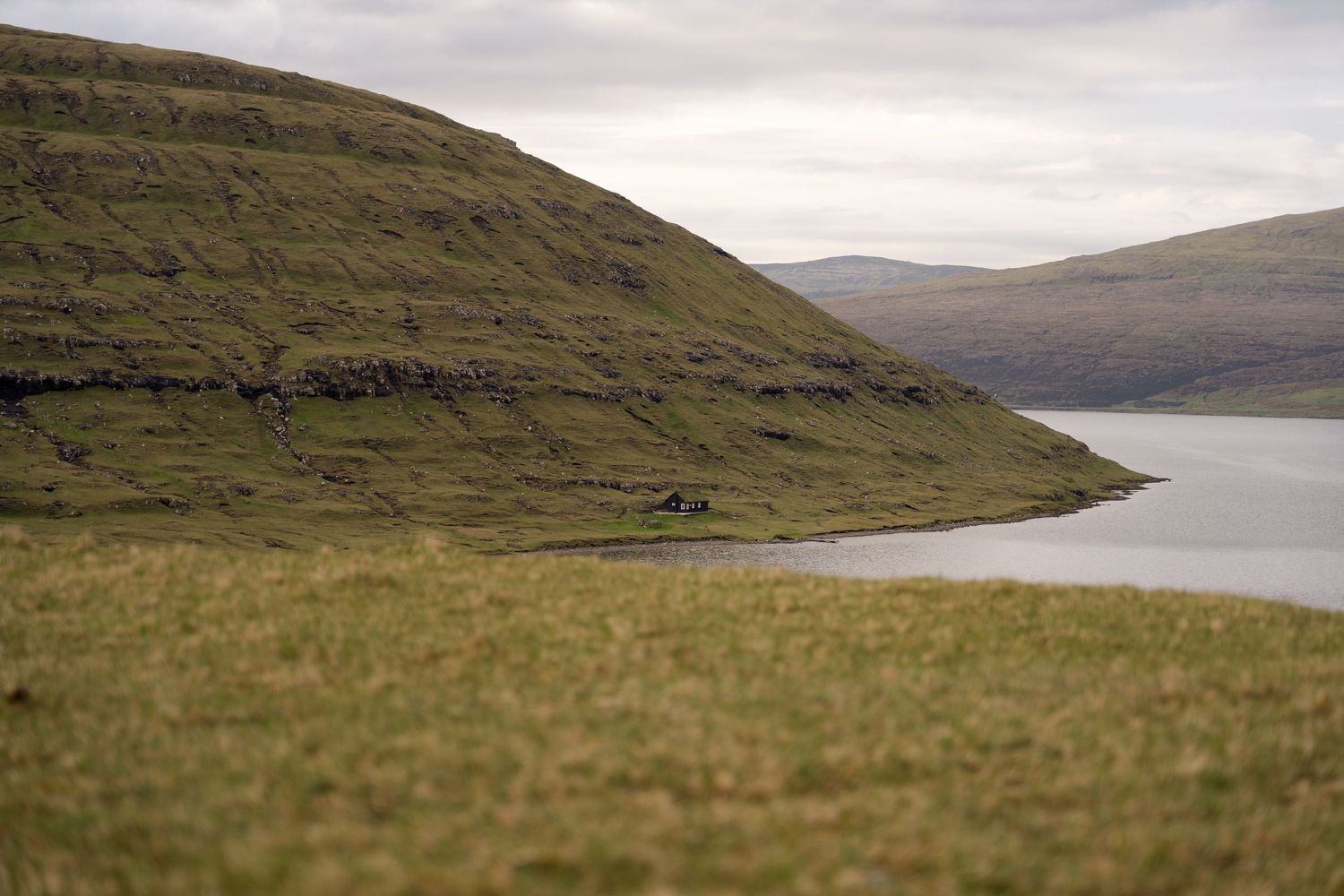 Scenic Faroe Islands landscape with green rolling hills, a fjord, and a lone house nestled along the tranquil waterway.