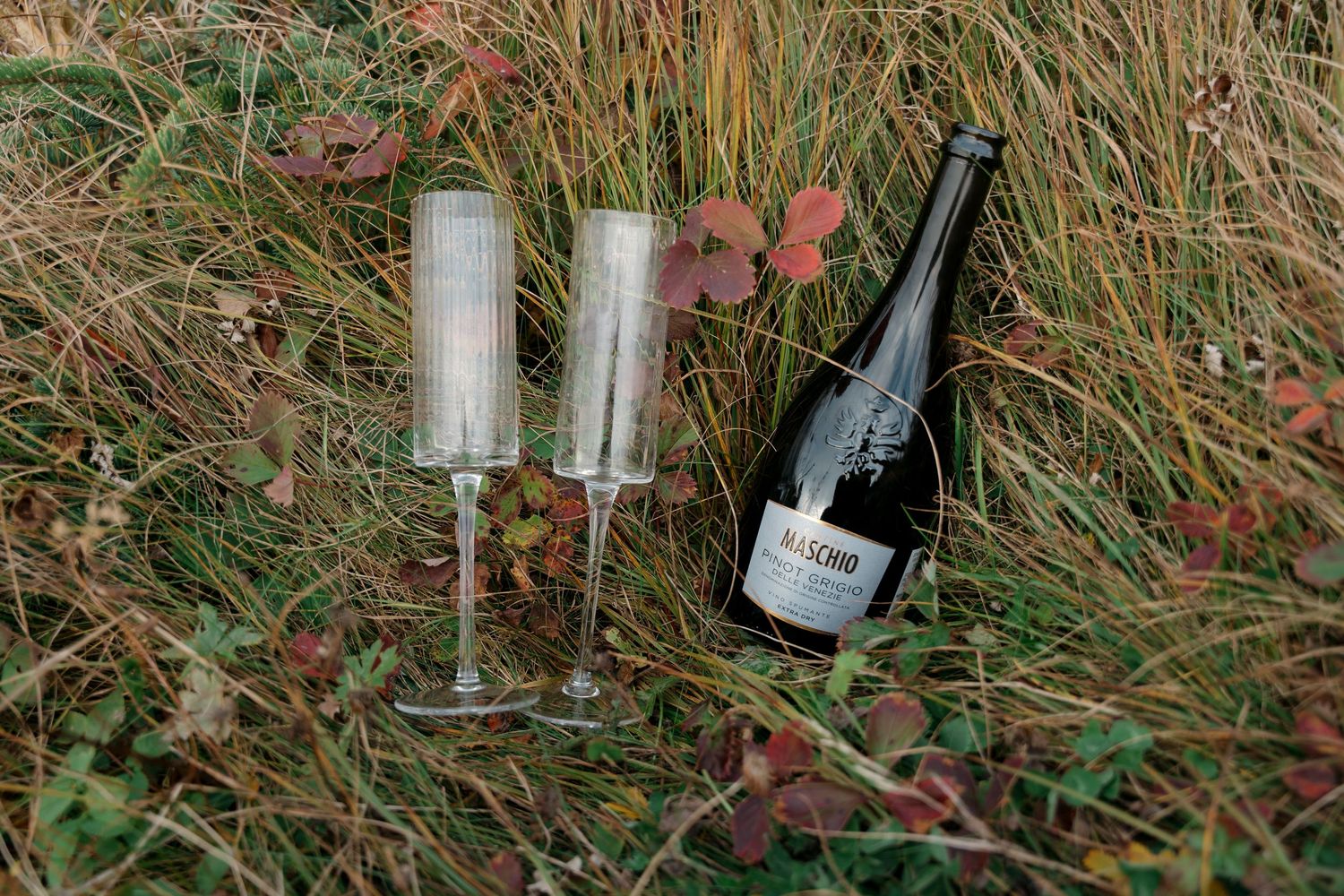 A bottle of red wine sits in tall grass with autumn leaves scattered around it.