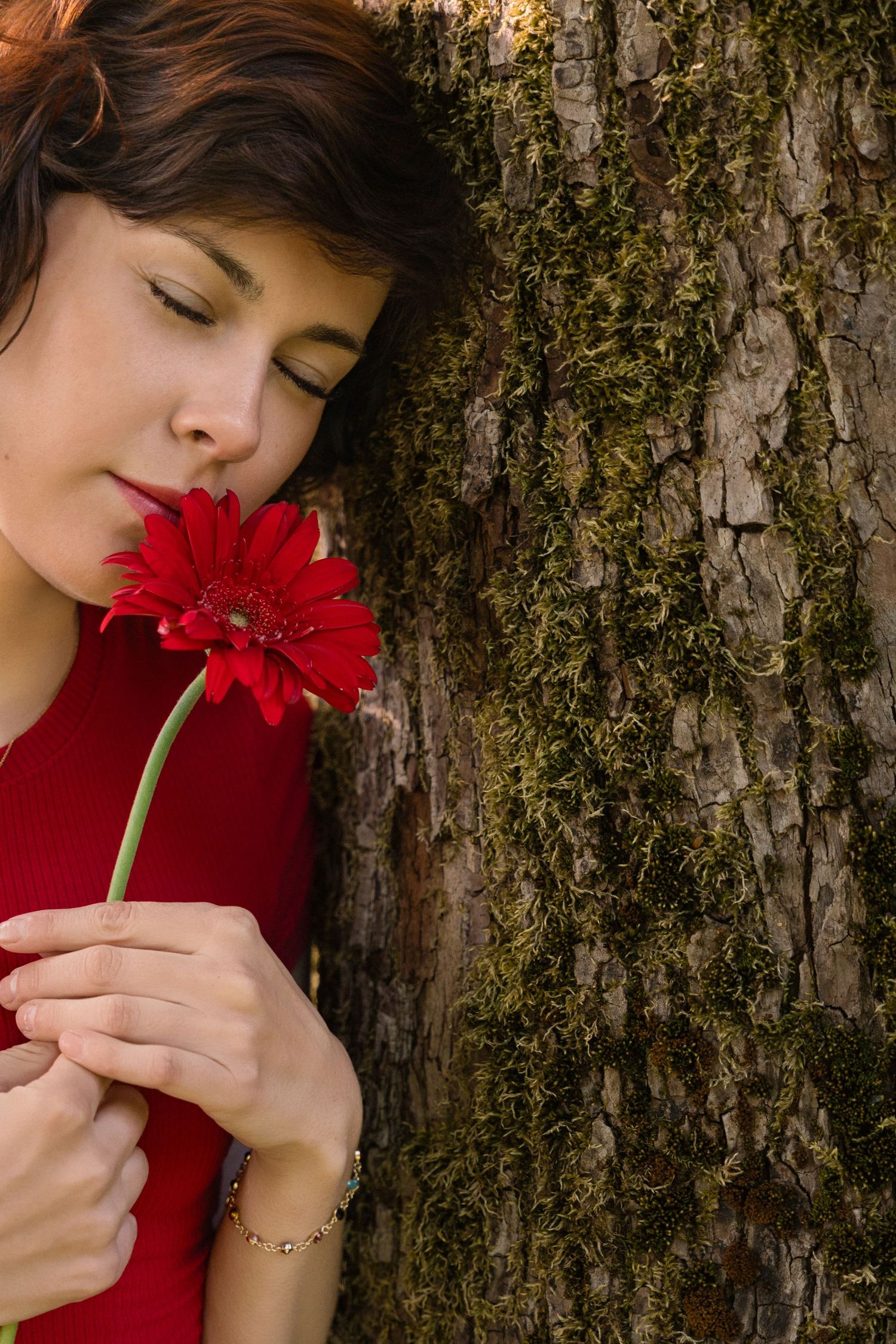 A series of artistic portraits showing someone in red holding a vibrant red gerbera daisy against a textured tree bark background.