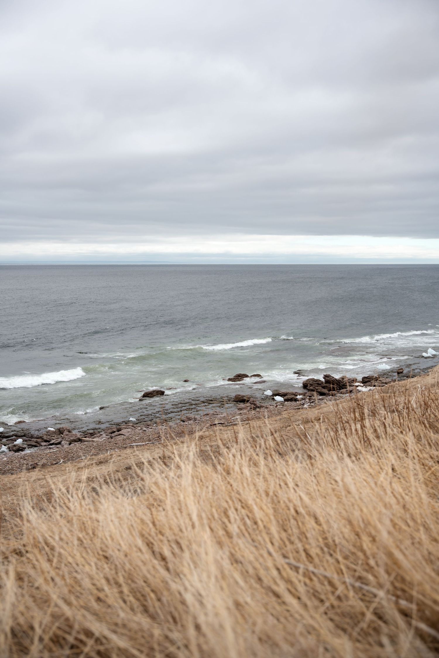 Moody coastal landscape with wild grasses, rocky shoreline and overcast sky over the ocean.