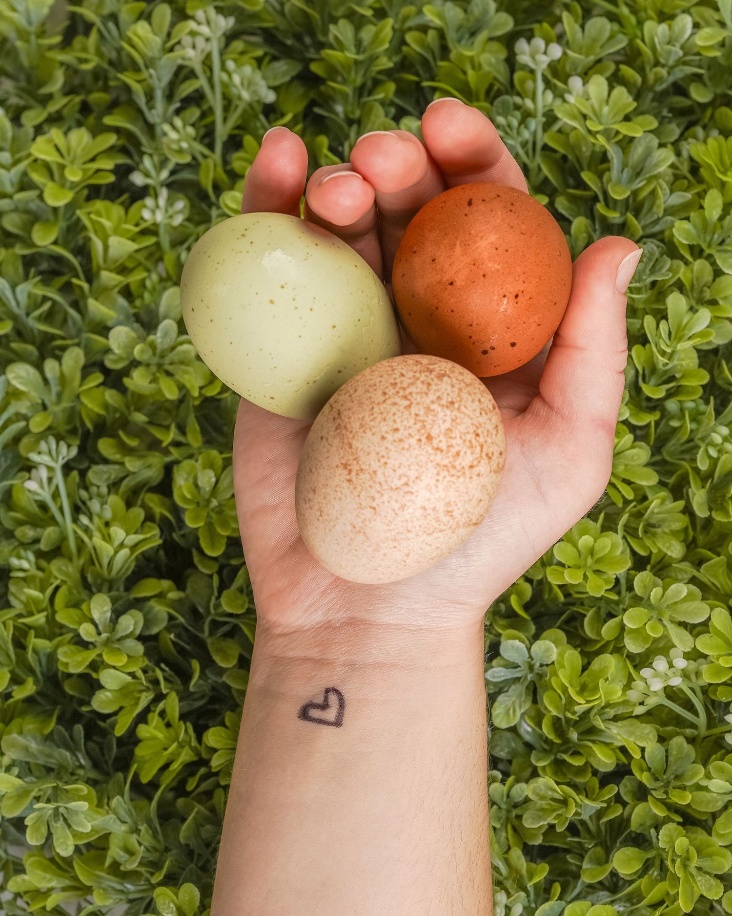 colorful local eggs in my hand