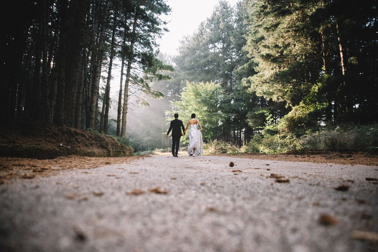 Two silhouettes walk along a misty forest path surrounded by tall evergreen trees.