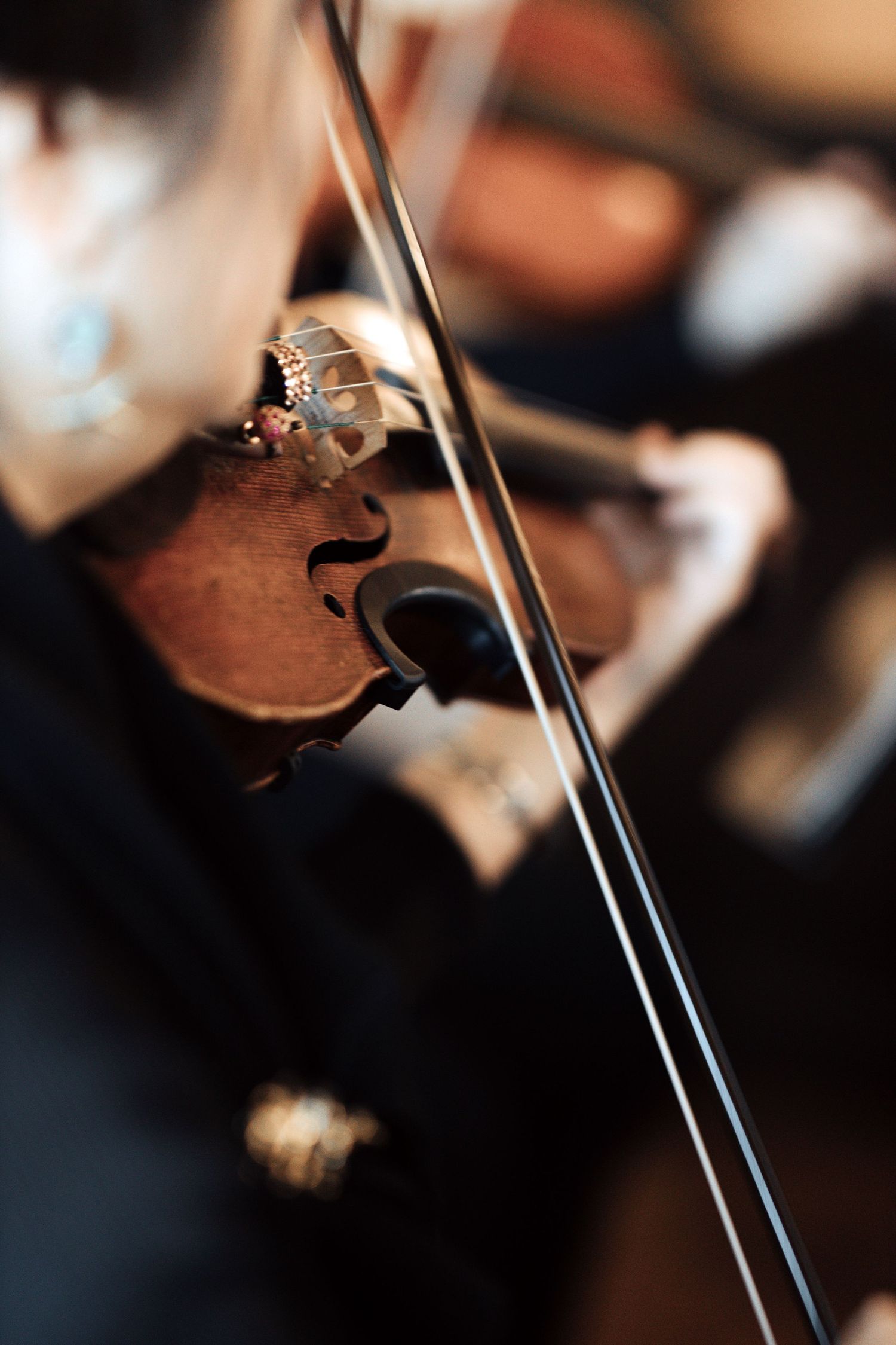 Close-up view of violin strings and wooden bridge in orchestra performance setting.