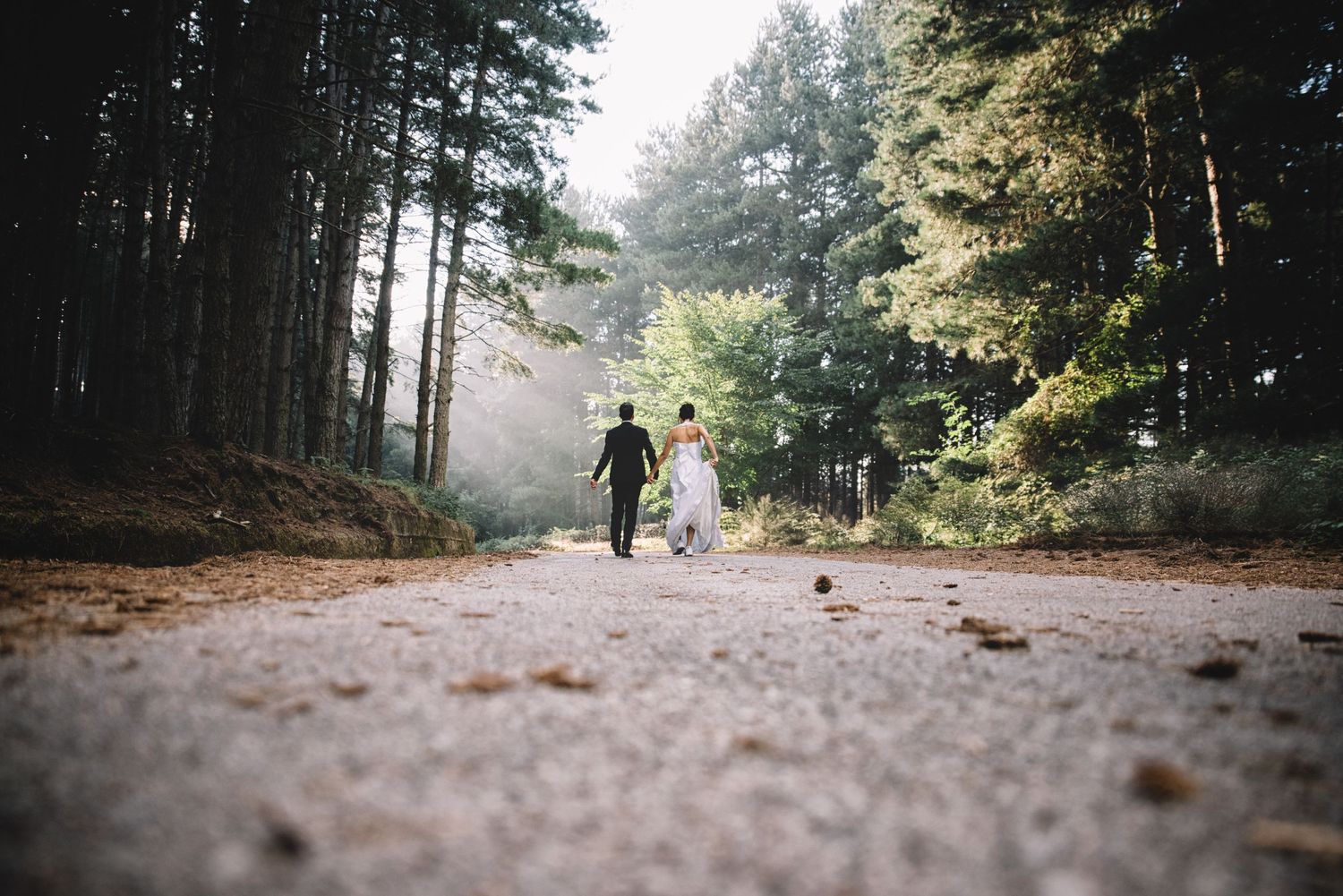 A person walking along a misty forest trail surrounded by tall evergreen trees on an autumn morning.