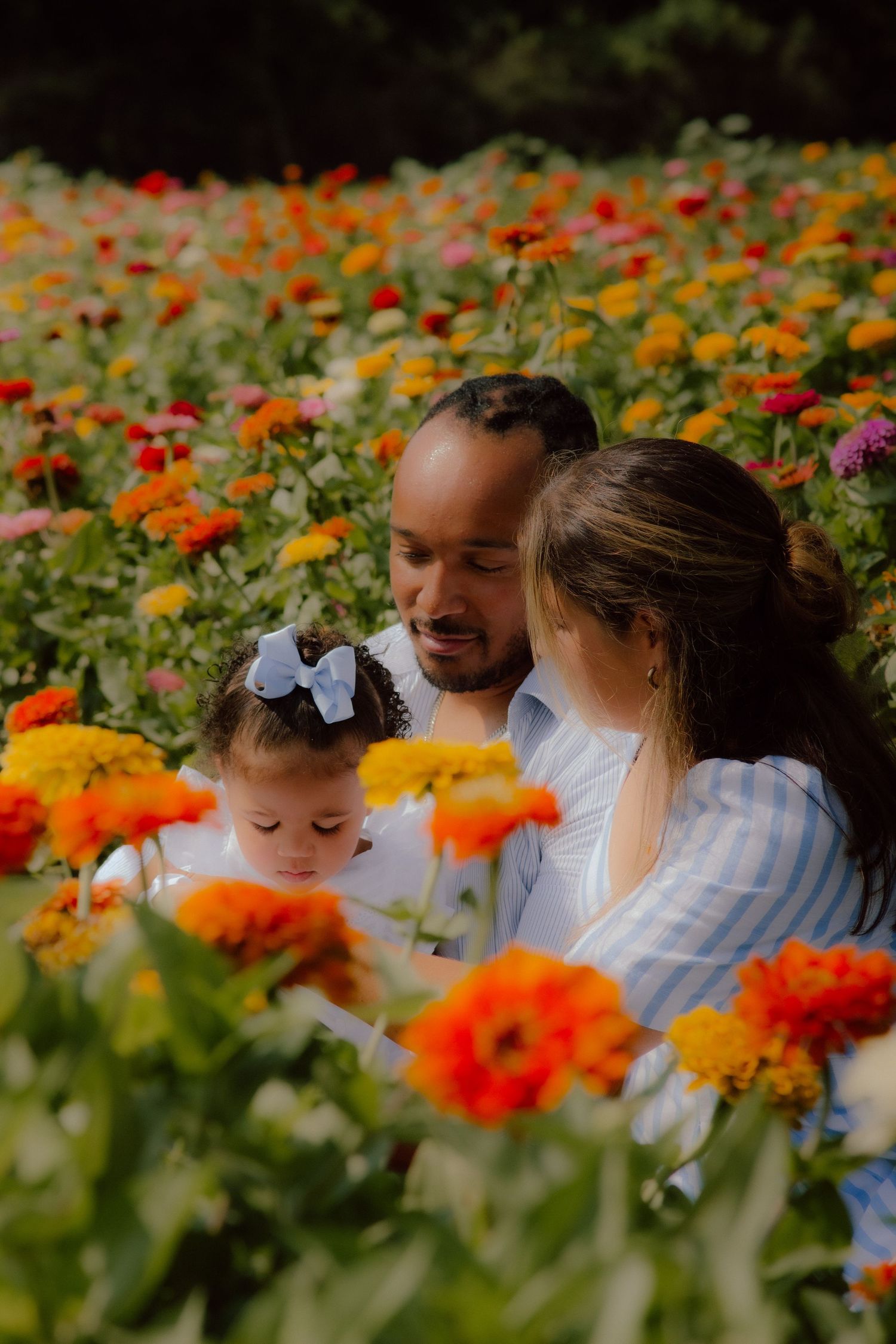 A family enjoying a tender moment together in a vibrant garden of orange and yellow flowers.