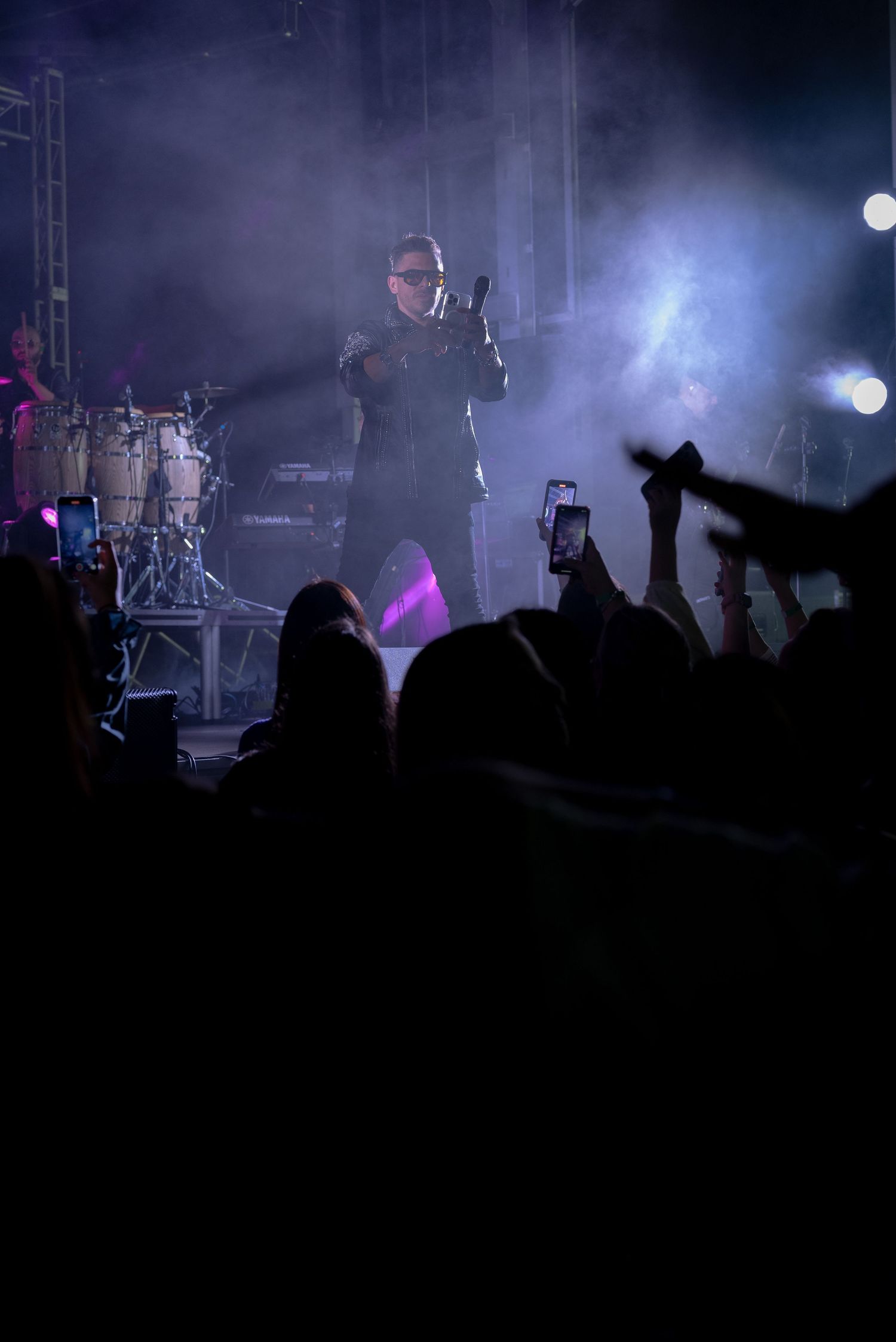 Concert performer silhouetted on stage with dramatic purple lighting and crowd in foreground.