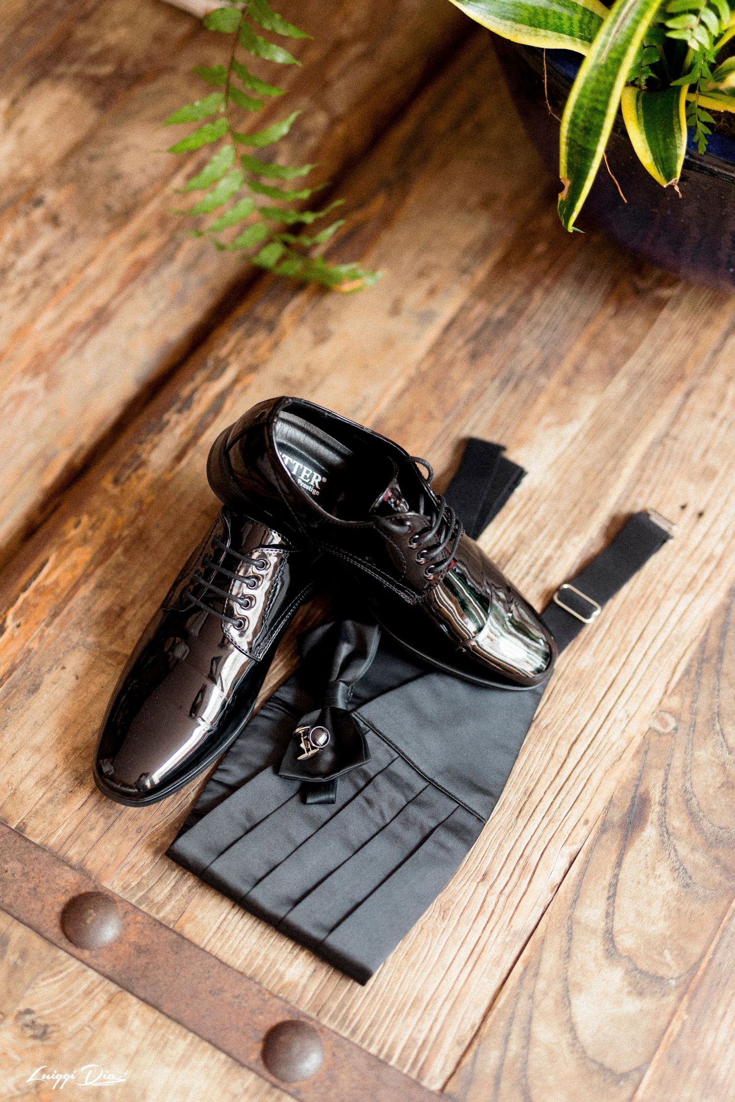Shiny black patent leather dress shoes and cummerbund on wooden floor with plant in background.