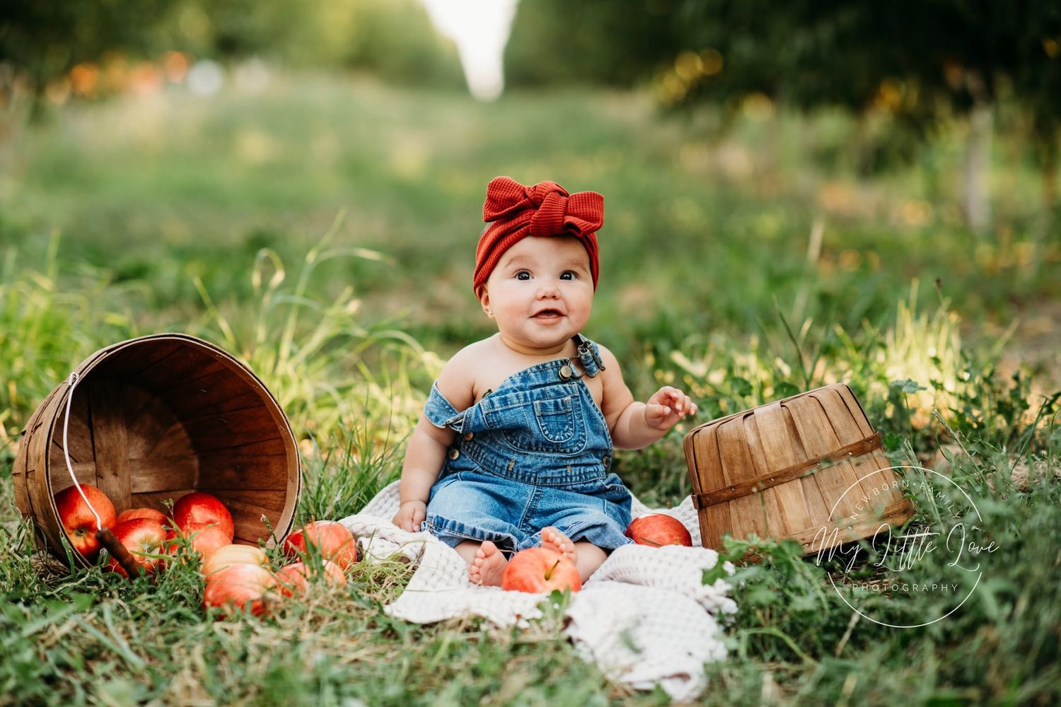 Baby girl in denim overalls and red bow sits among apple baskets in an orchard for a fall photo session.