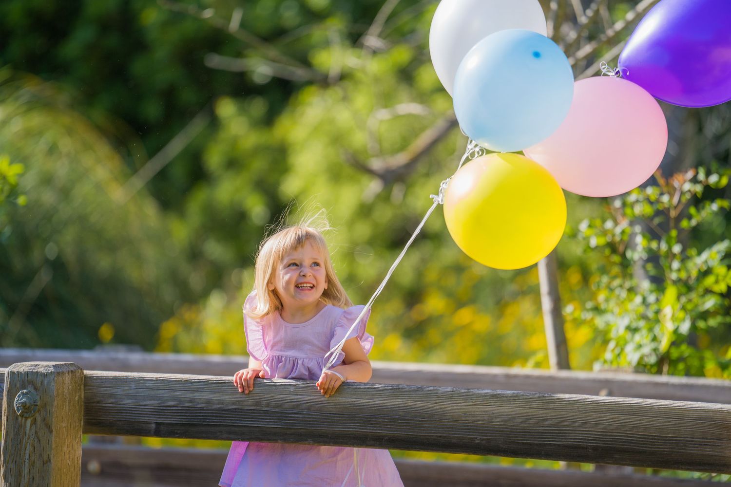 Colorful balloons against a wooden fence in a sunny garden setting.