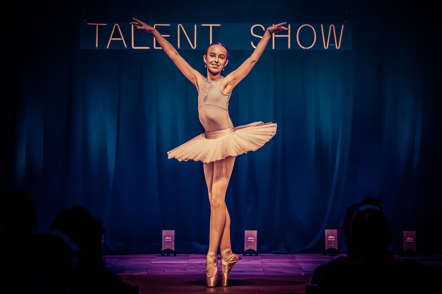Ballet dancer performing on stage with dark blue theatrical lighting.
