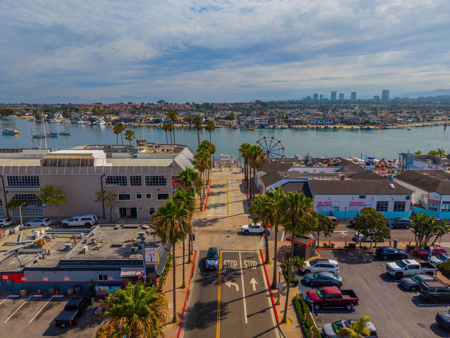 Aerial view of a palm-lined street leading to a marina with boats, waterfront buildings, and city skyline in the background.