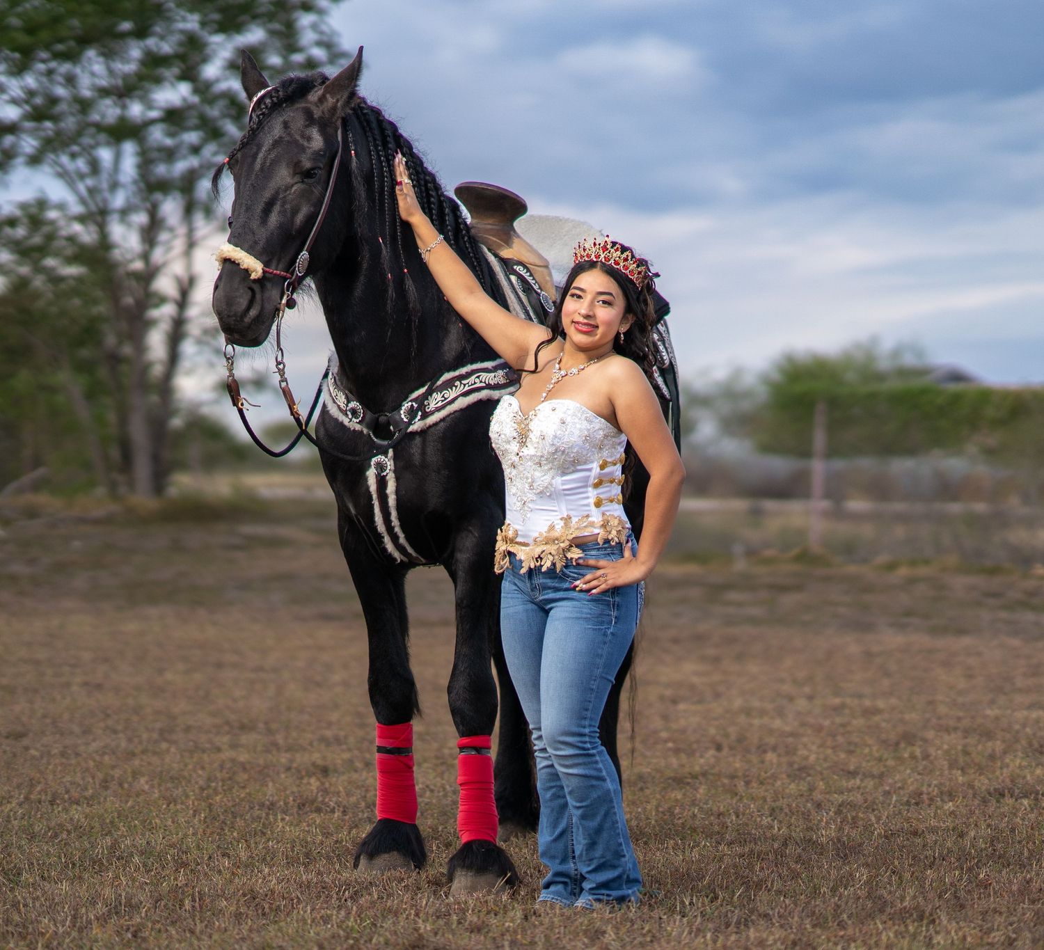 A black horse stands in a field while someone in jeans and a white top poses beside it.