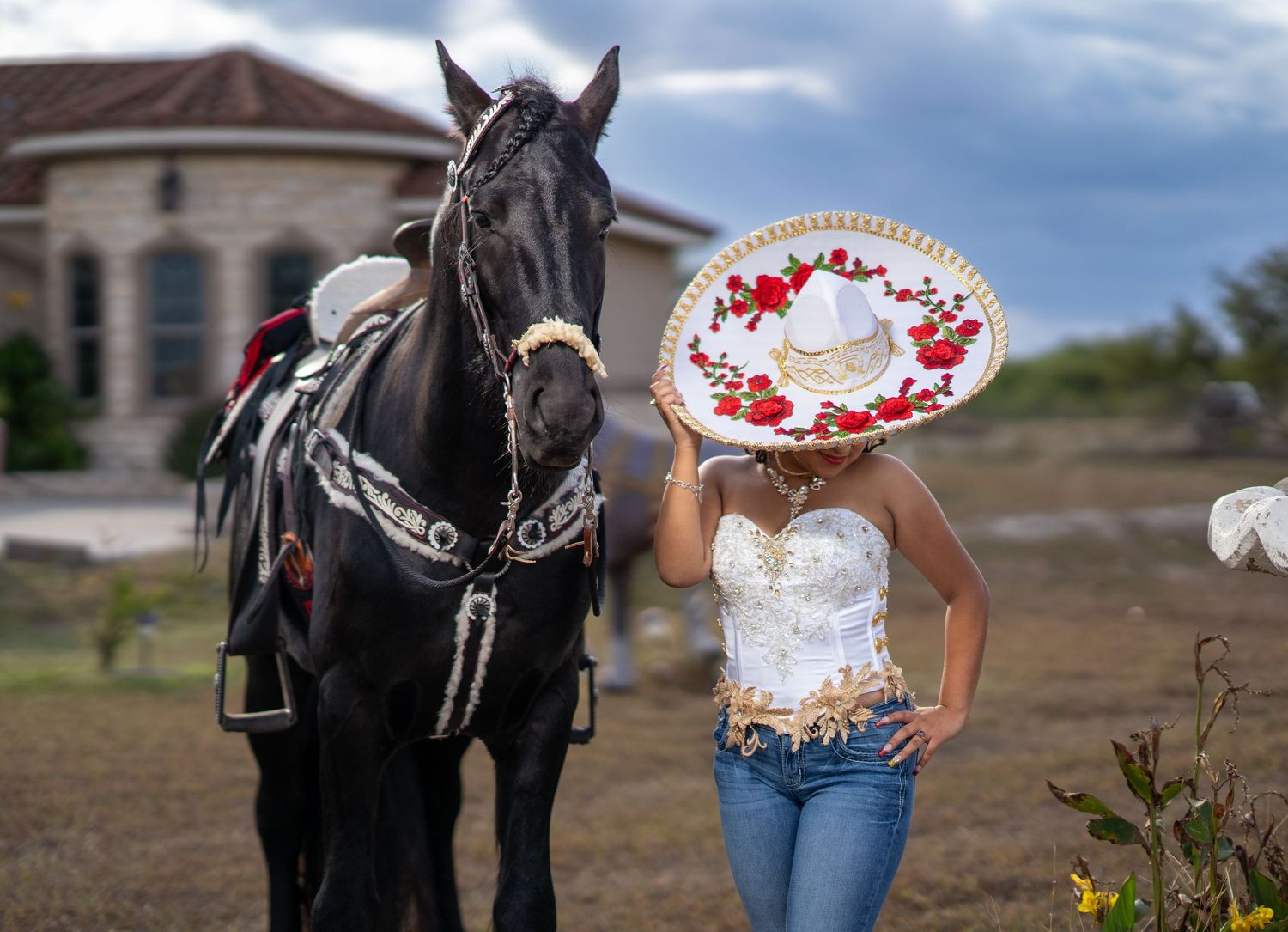 A black horse and someone in jeans stand together in an outdoor field setting at sunset.