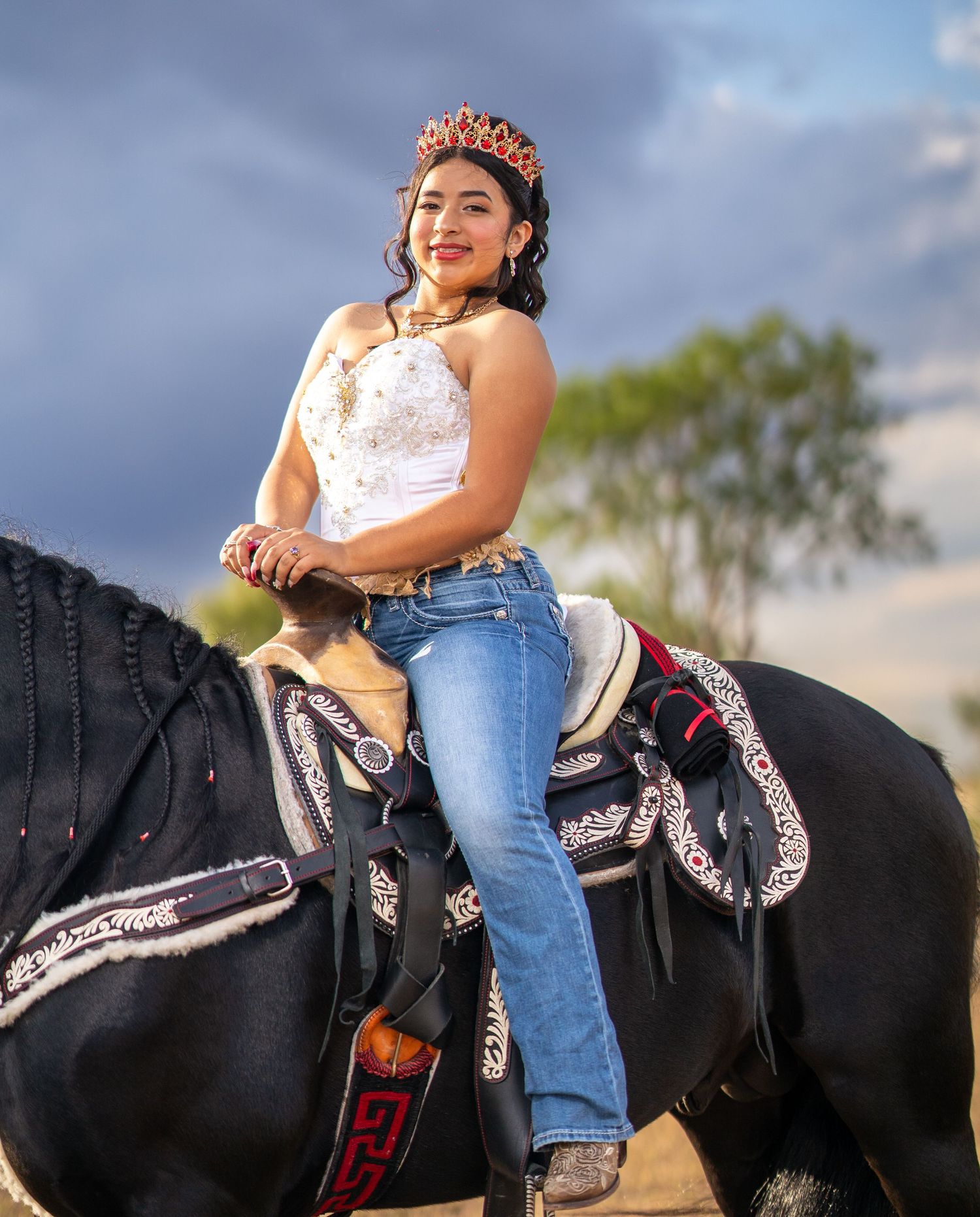 A black horse with ornate western tack stands in a field during golden hour.