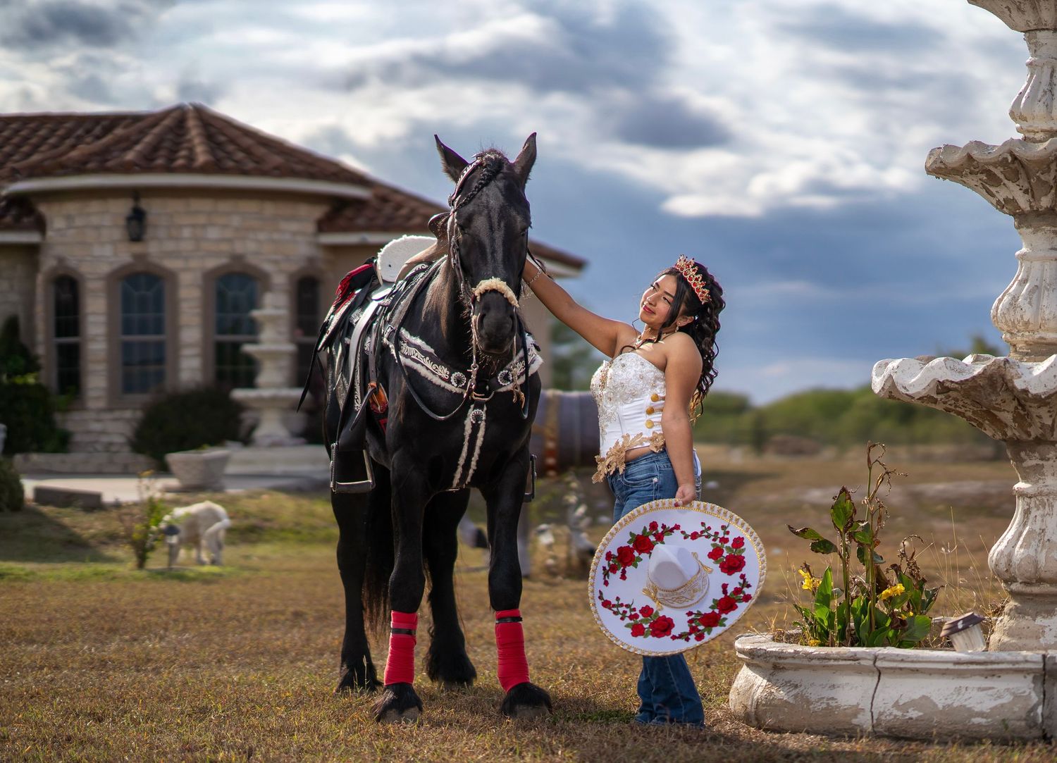 A series of equestrian photos showing horses and riders in outdoor settings with dramatic cloudy skies.