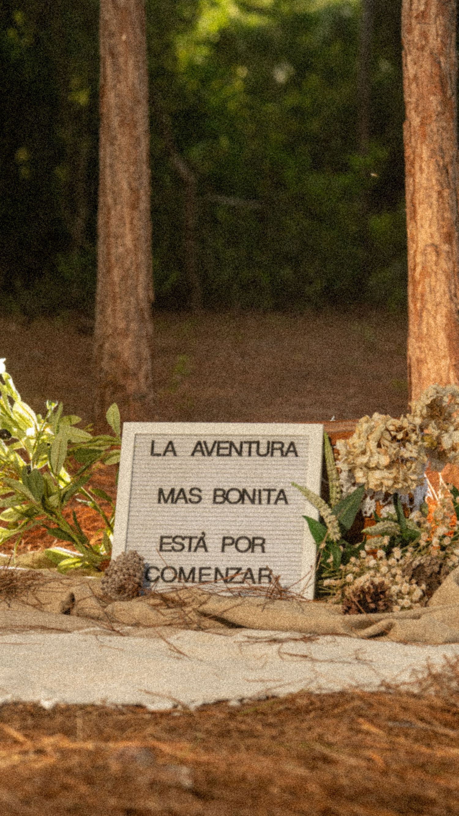 Rustic letter board reading 'La Aventura Mas Bonita Esta Por Comenzar' surrounded by dried flowers in a forest setting.