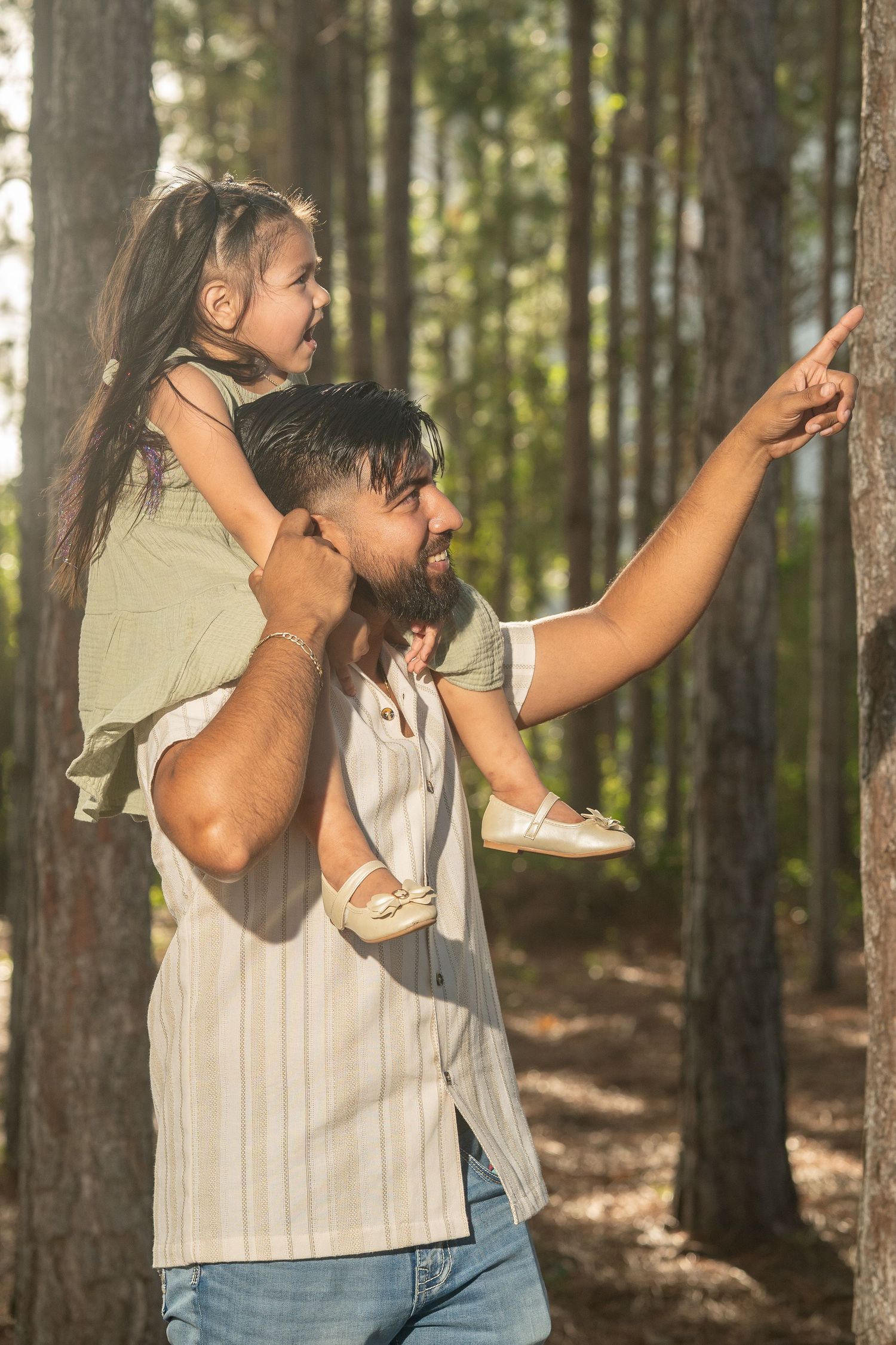 Father carries daughter on shoulders as she points at a tree in a sunlit pine forest.